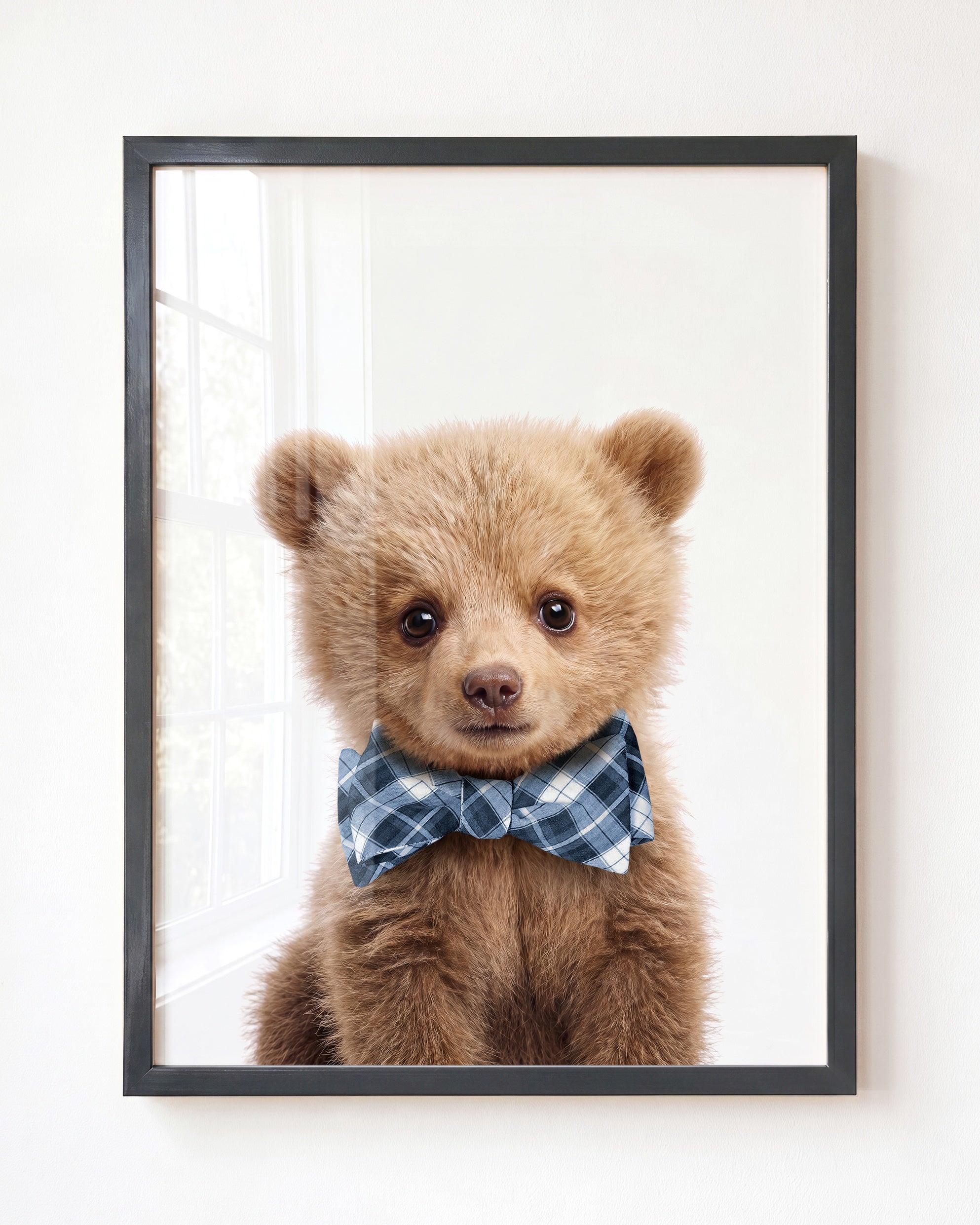 Baby Grizzly Bear