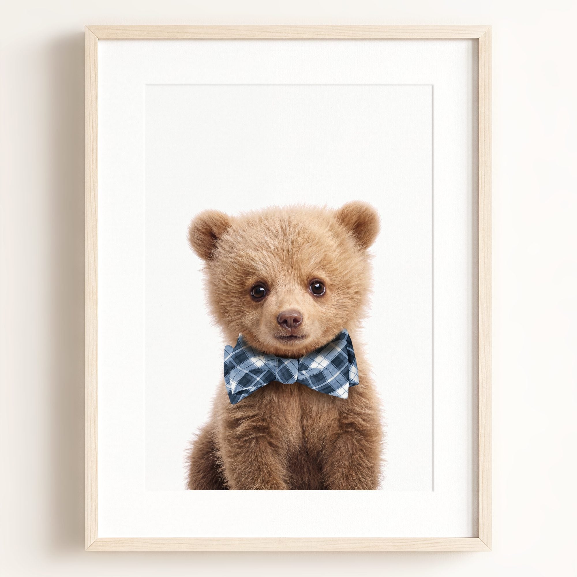 Baby Grizzly Bear