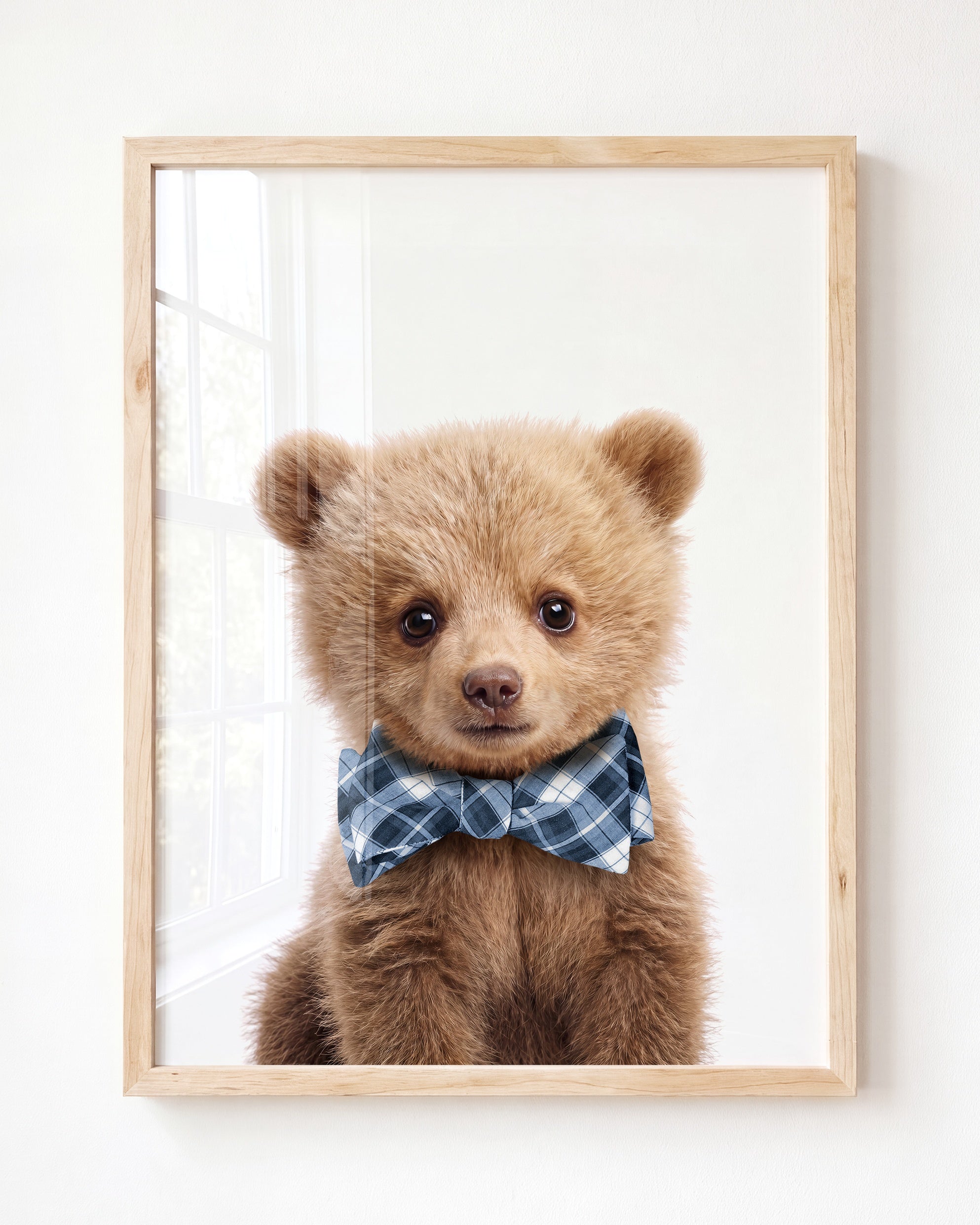 Baby Grizzly Bear