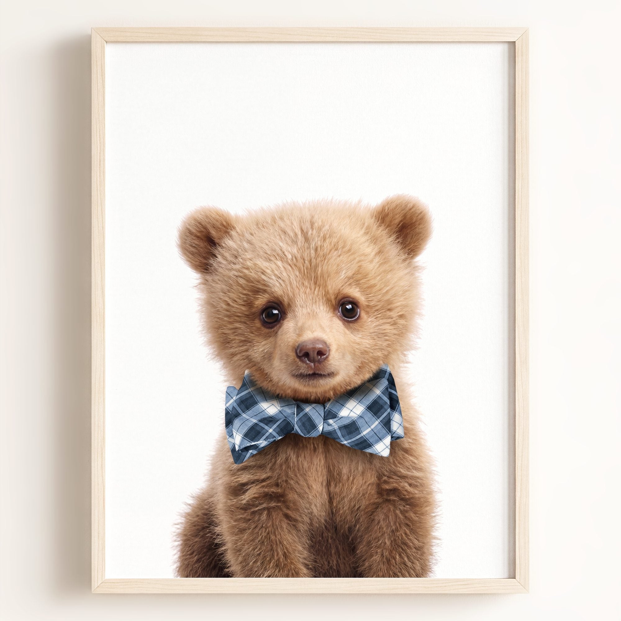 Baby Grizzly Bear