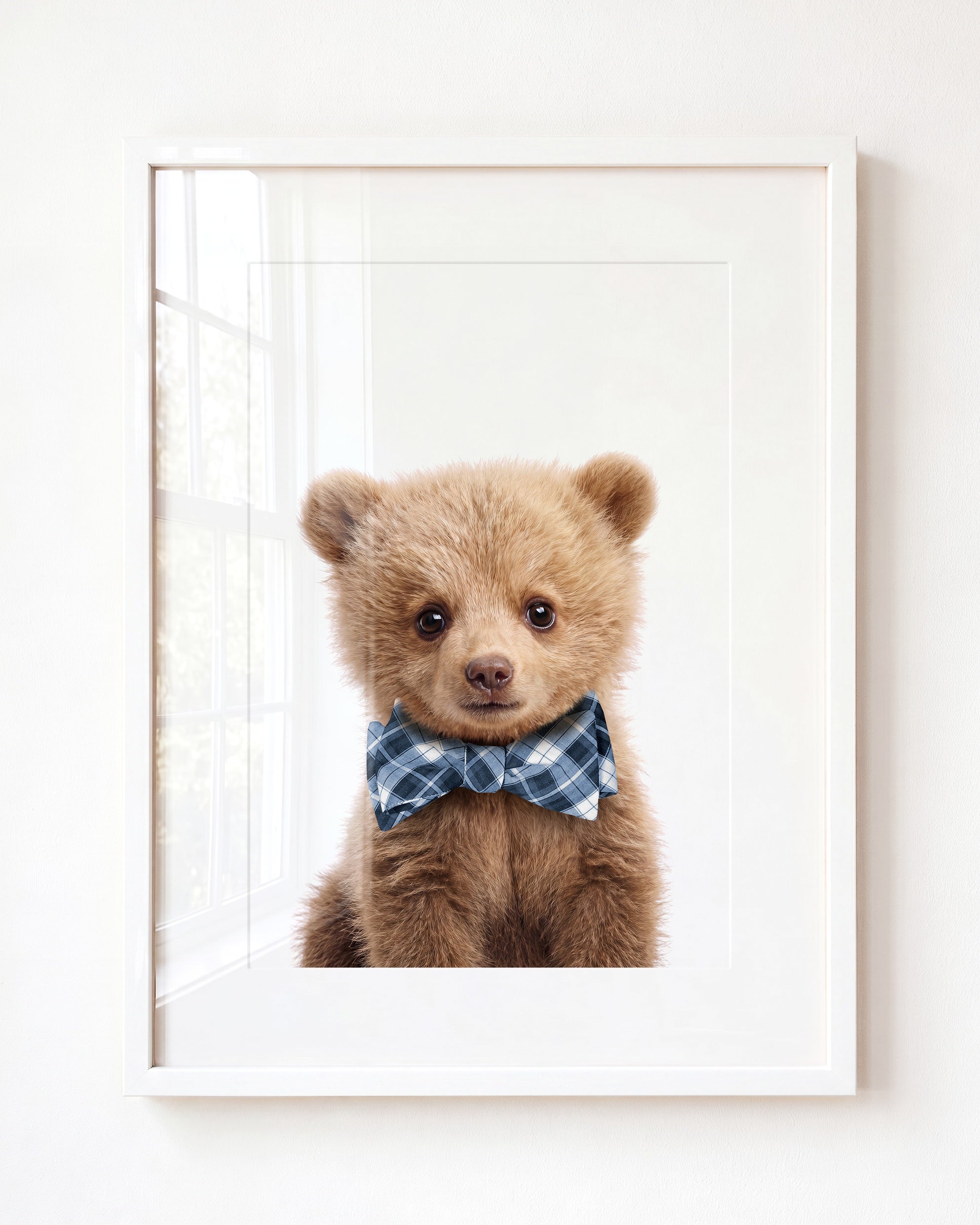 Baby Grizzly Bear