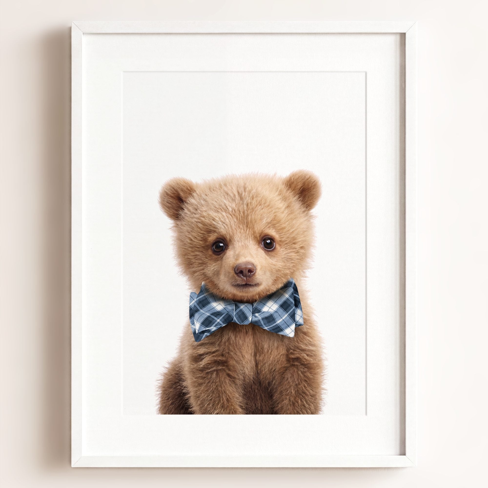 Baby Grizzly Bear