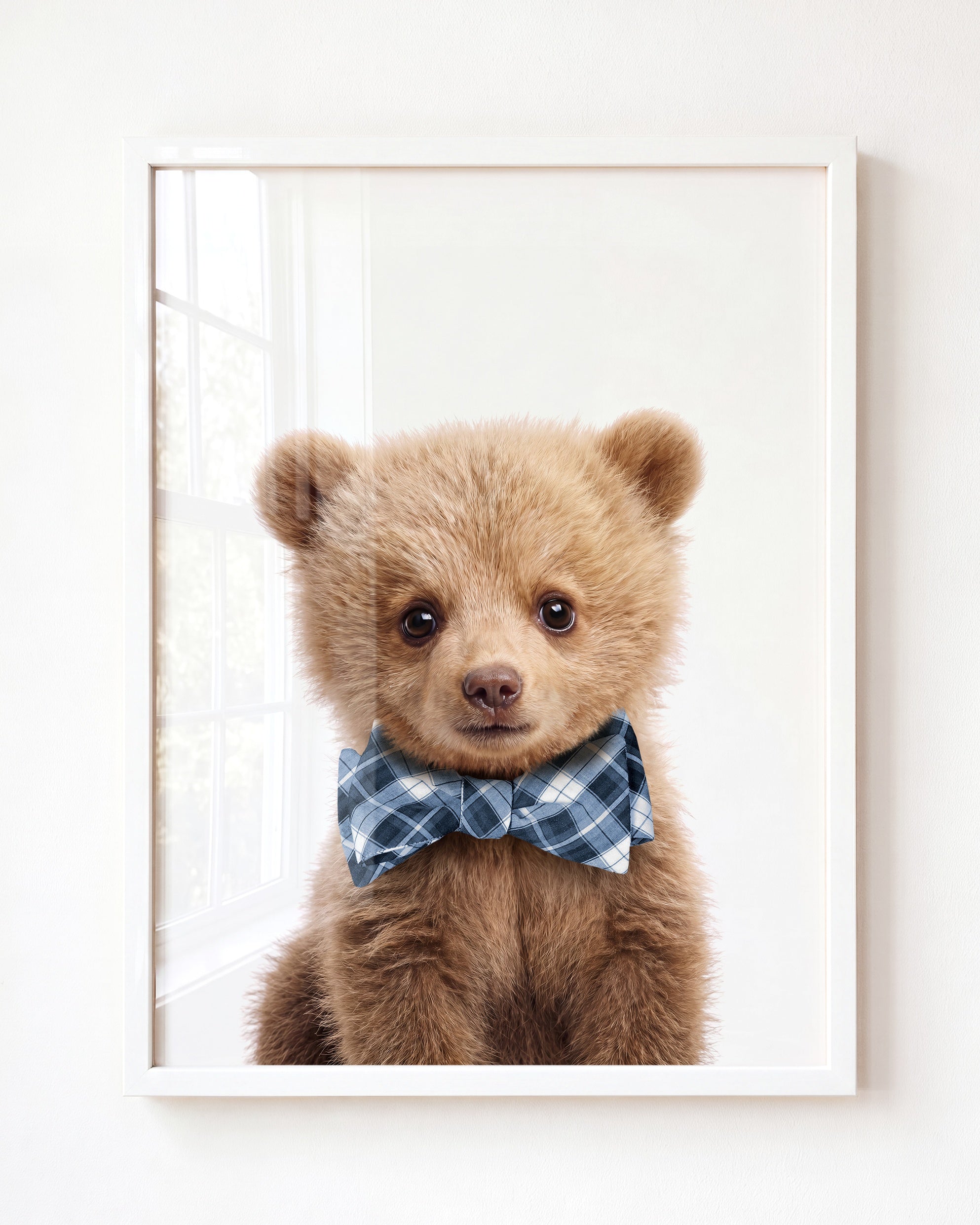 Baby Grizzly Bear