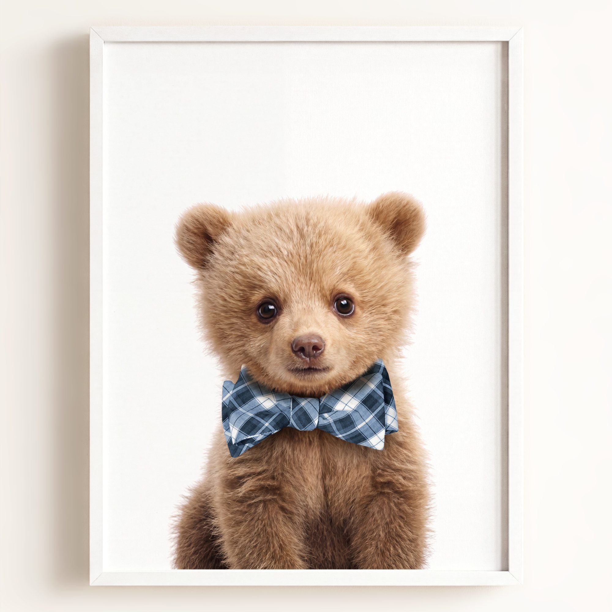 Baby Grizzly Bear