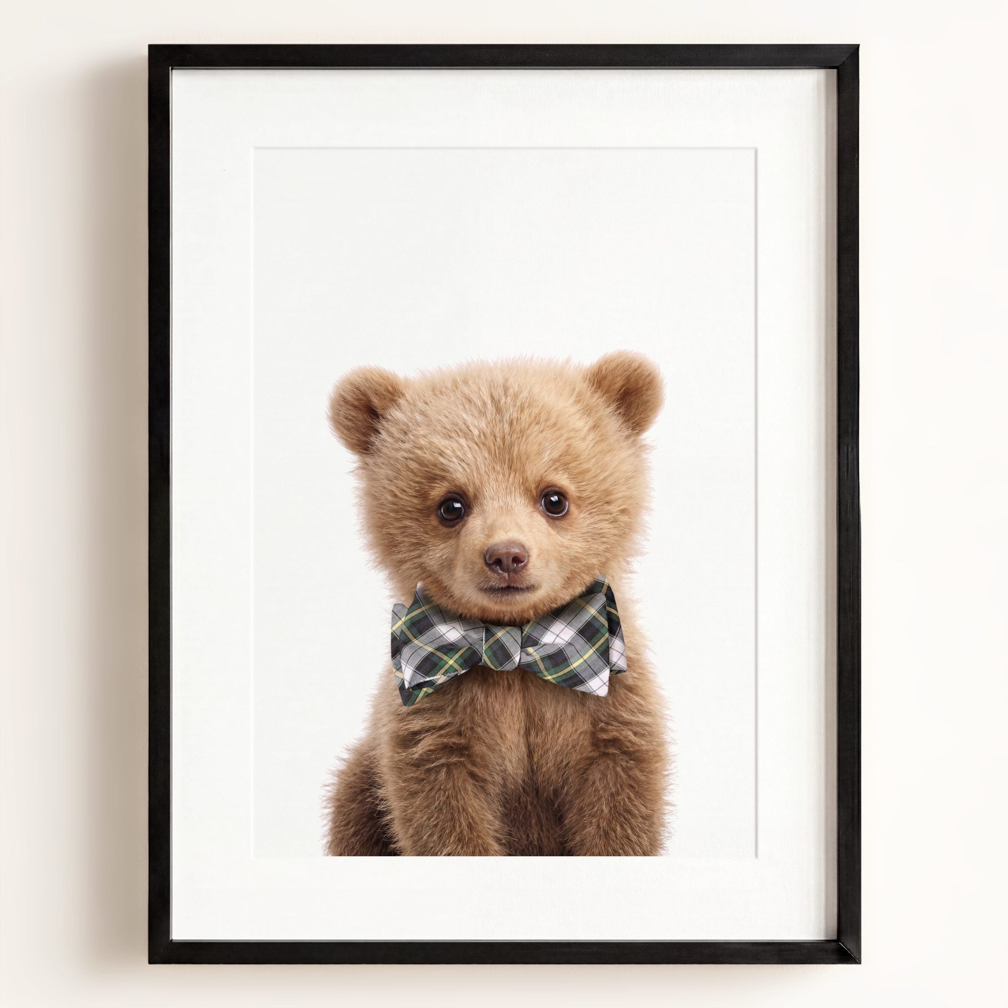 Baby Grizzly Bear