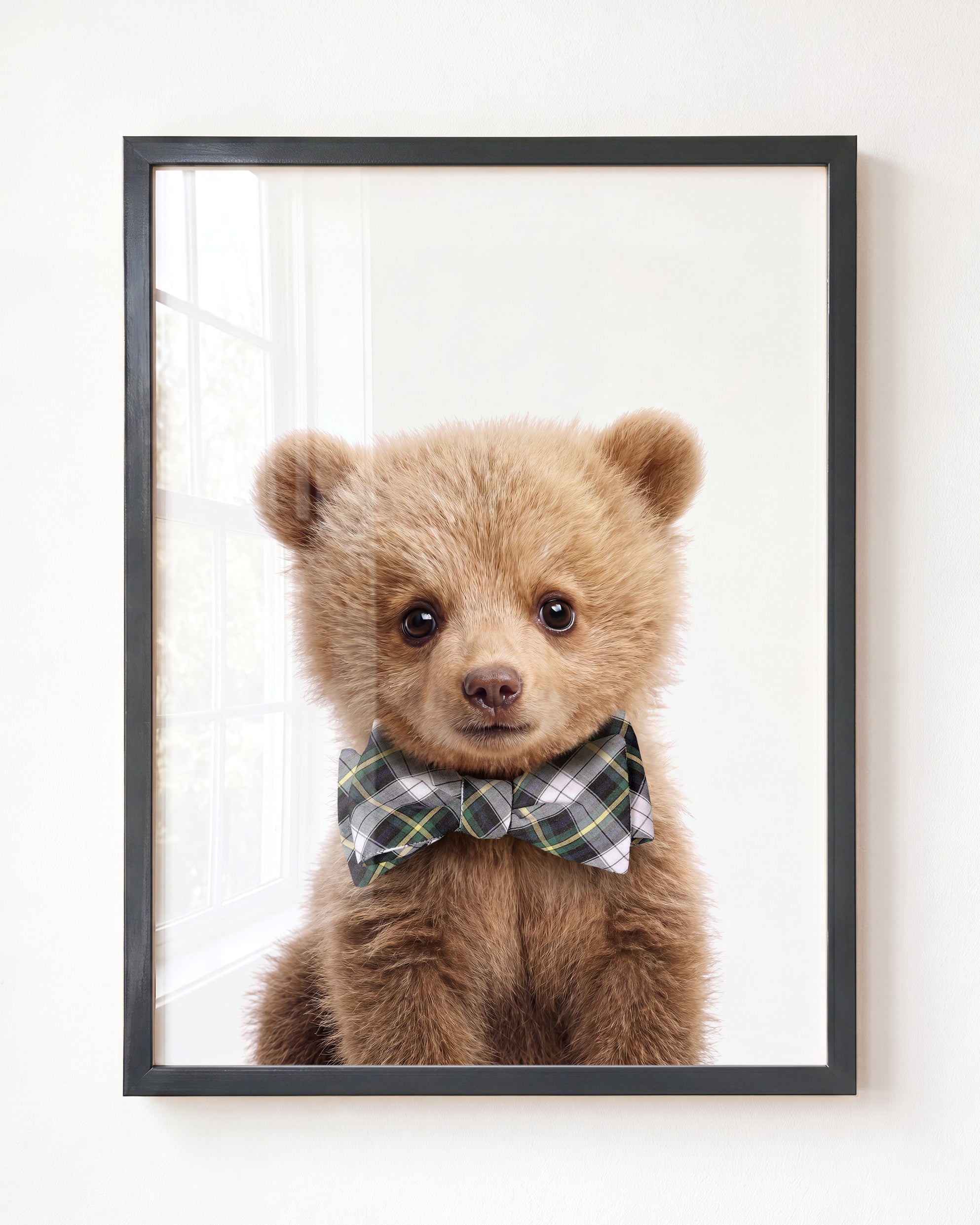 Baby Grizzly Bear
