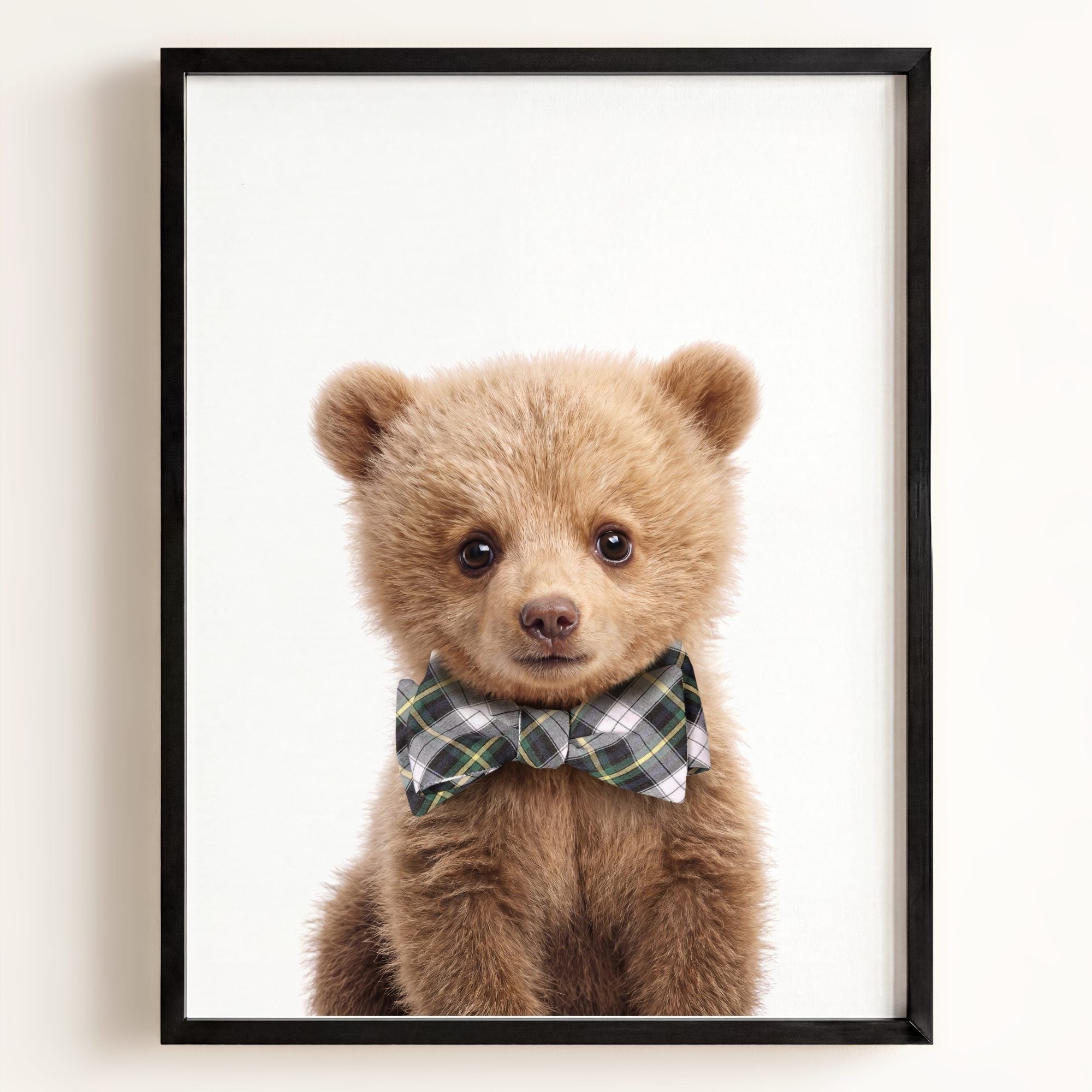 Baby Grizzly Bear
