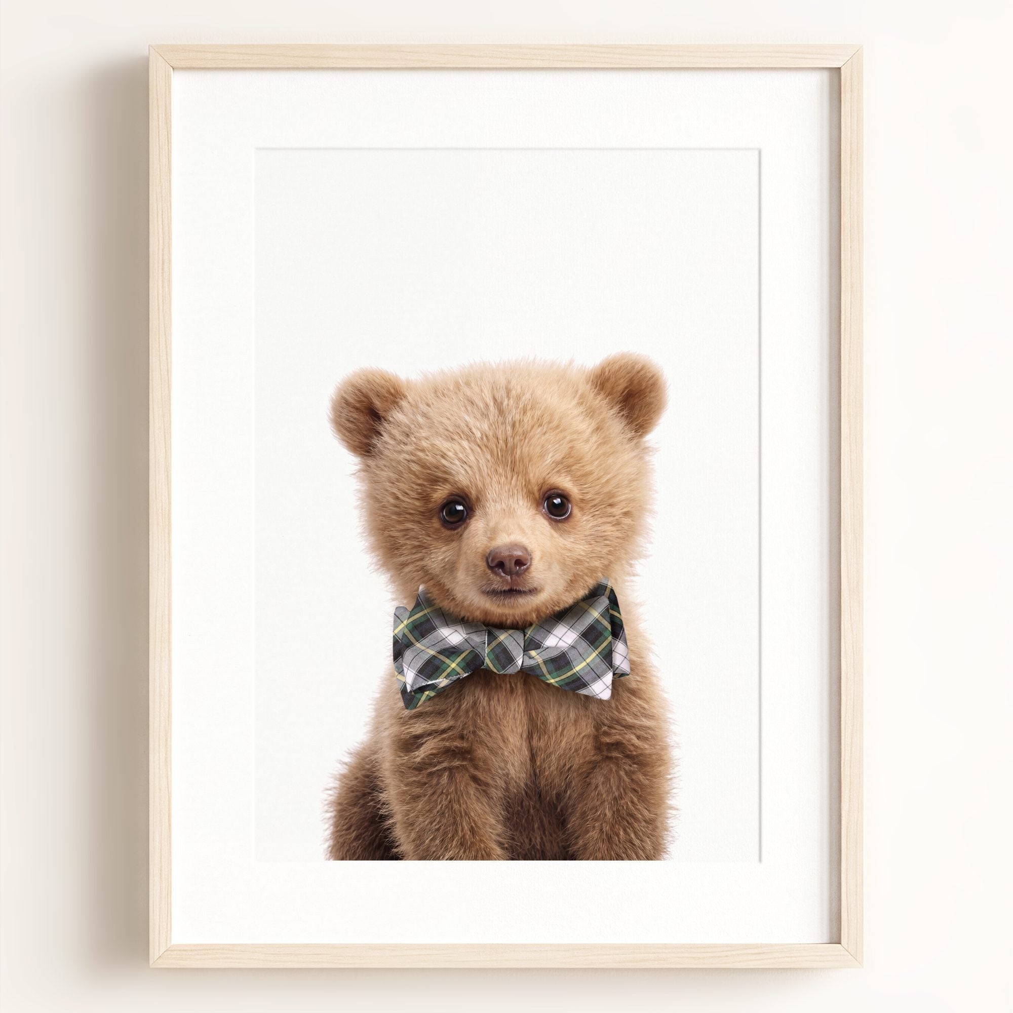 Baby Grizzly Bear