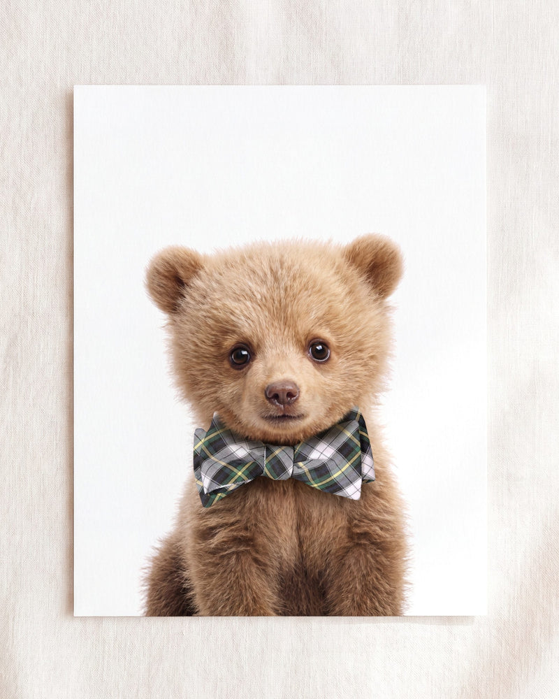 Bow Tie