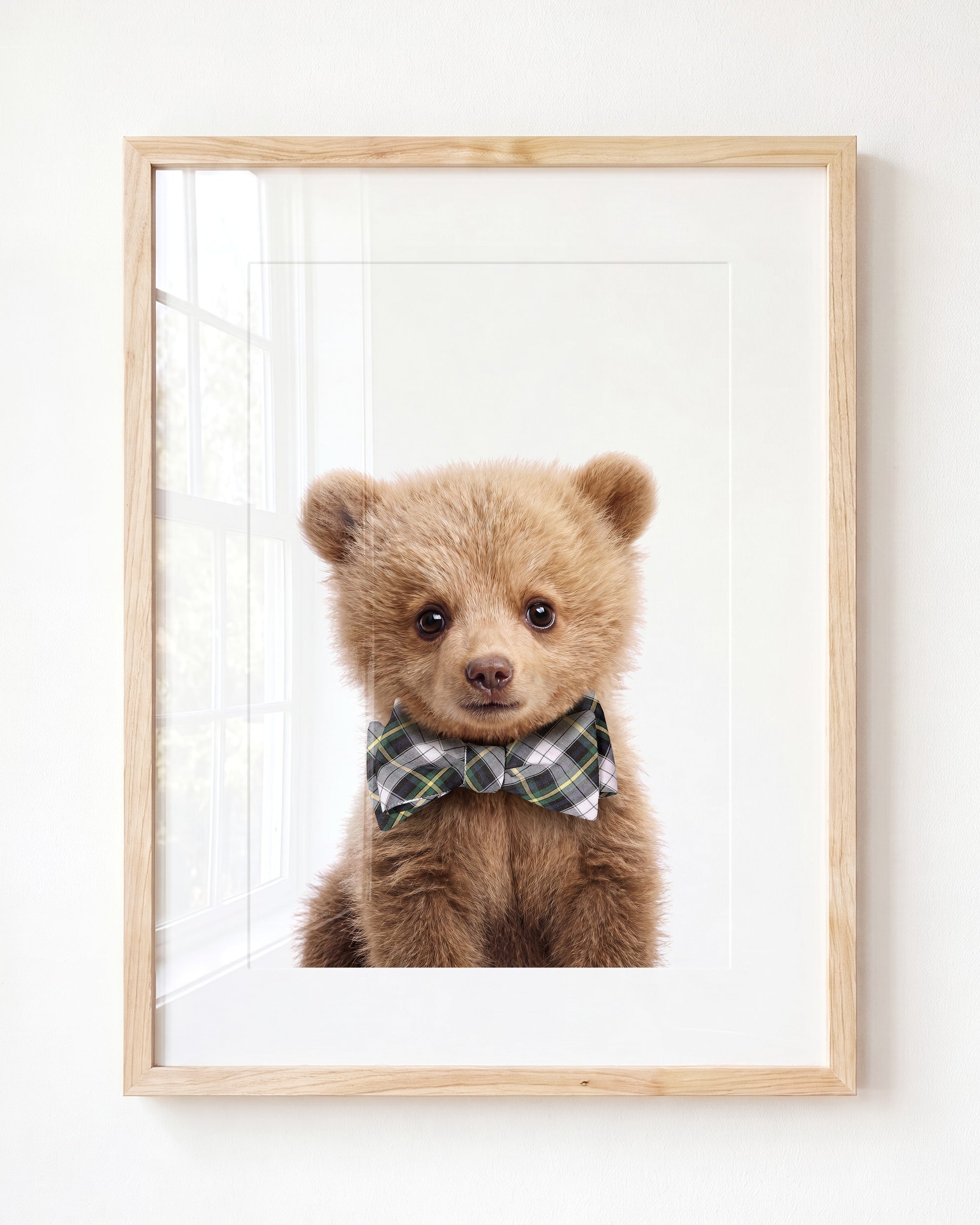 Baby Grizzly Bear
