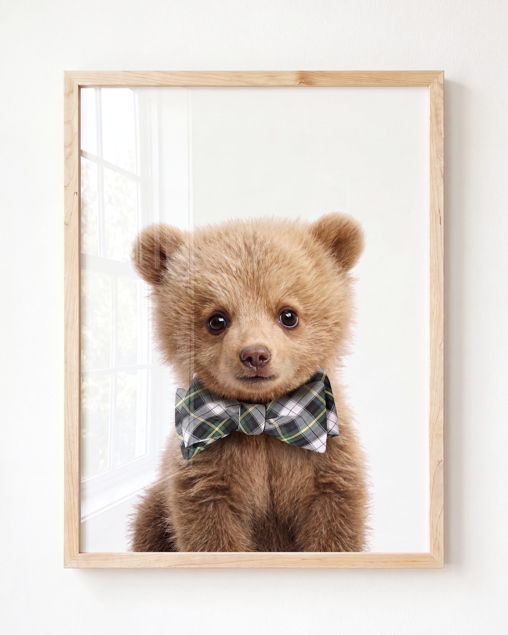 Baby Grizzly Bear