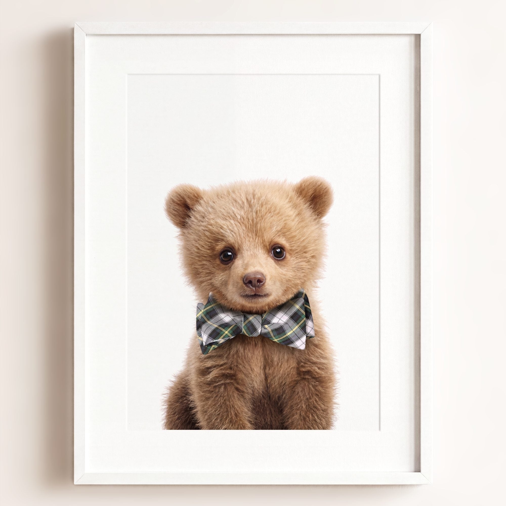 Baby Grizzly Bear