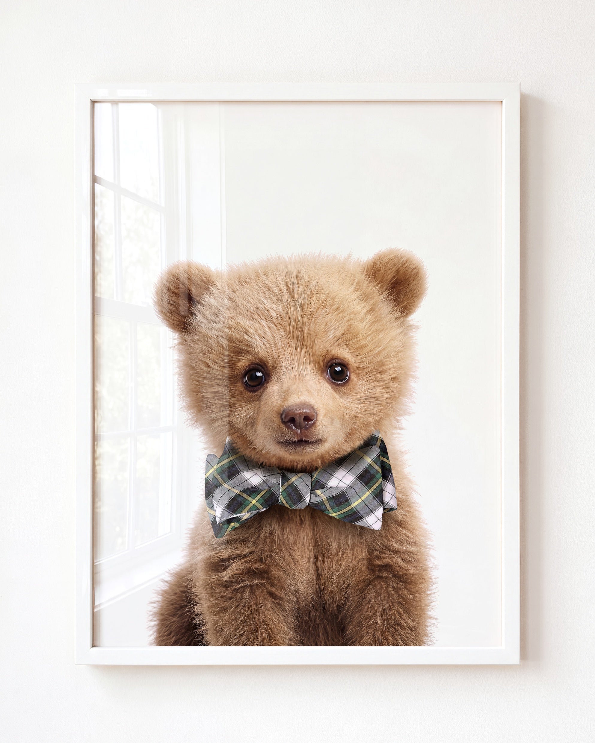 Baby Grizzly Bear