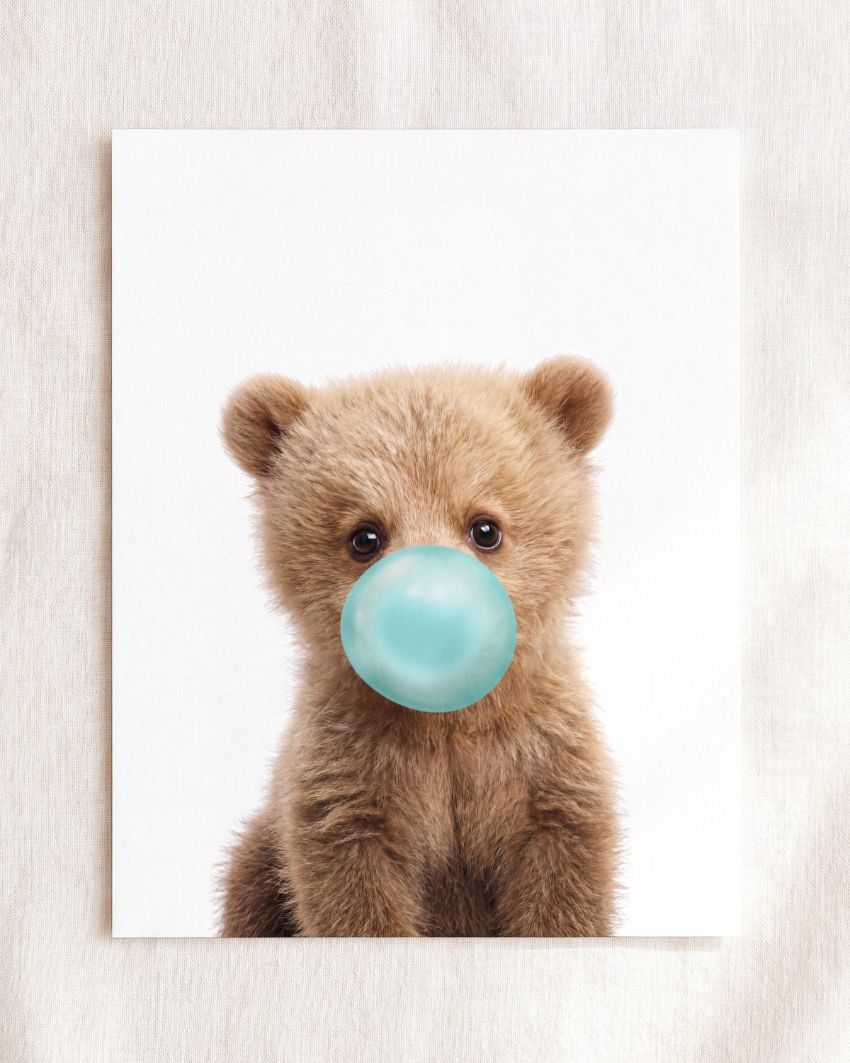 Baby Grizzly Bear