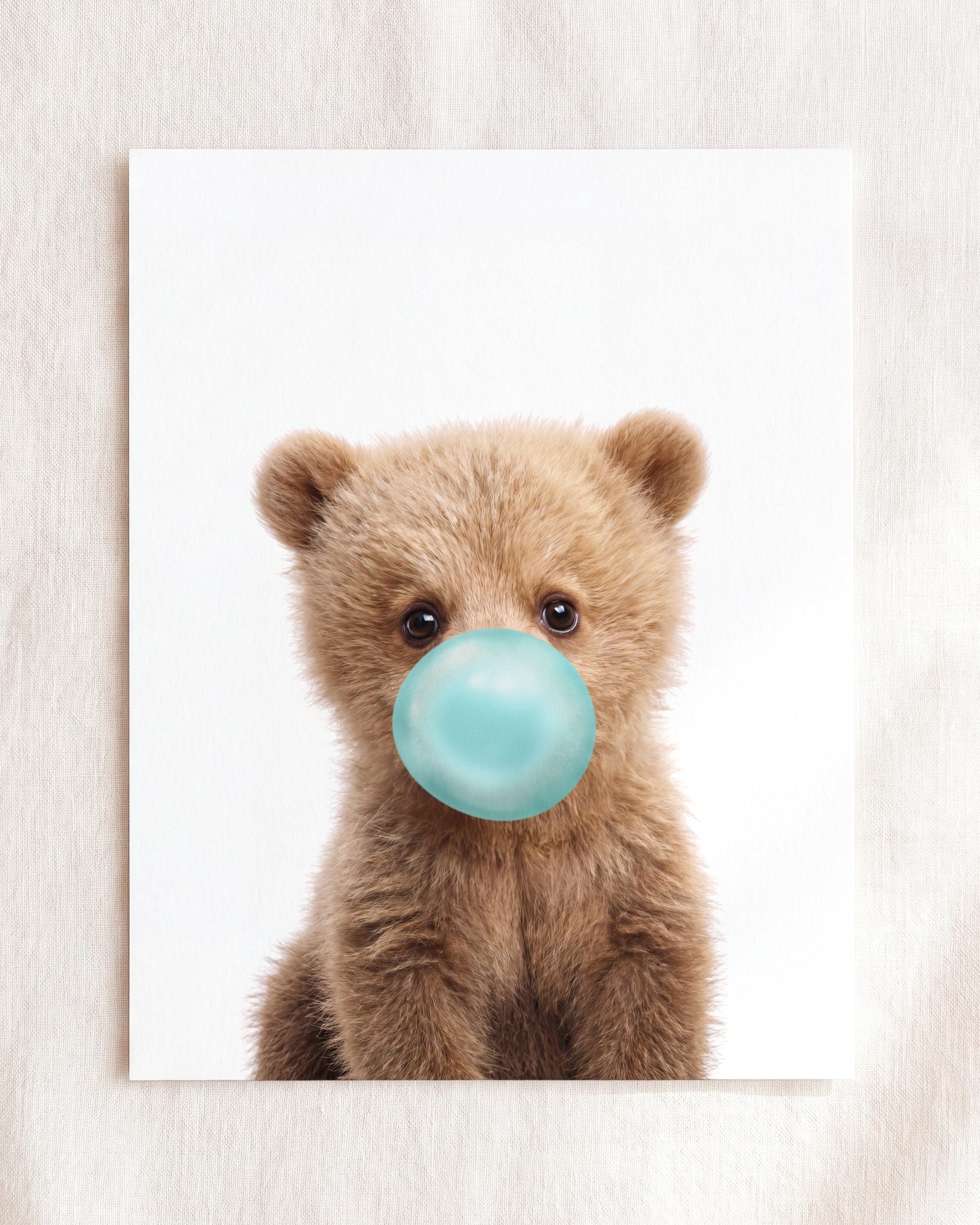Baby Grizzly Bear