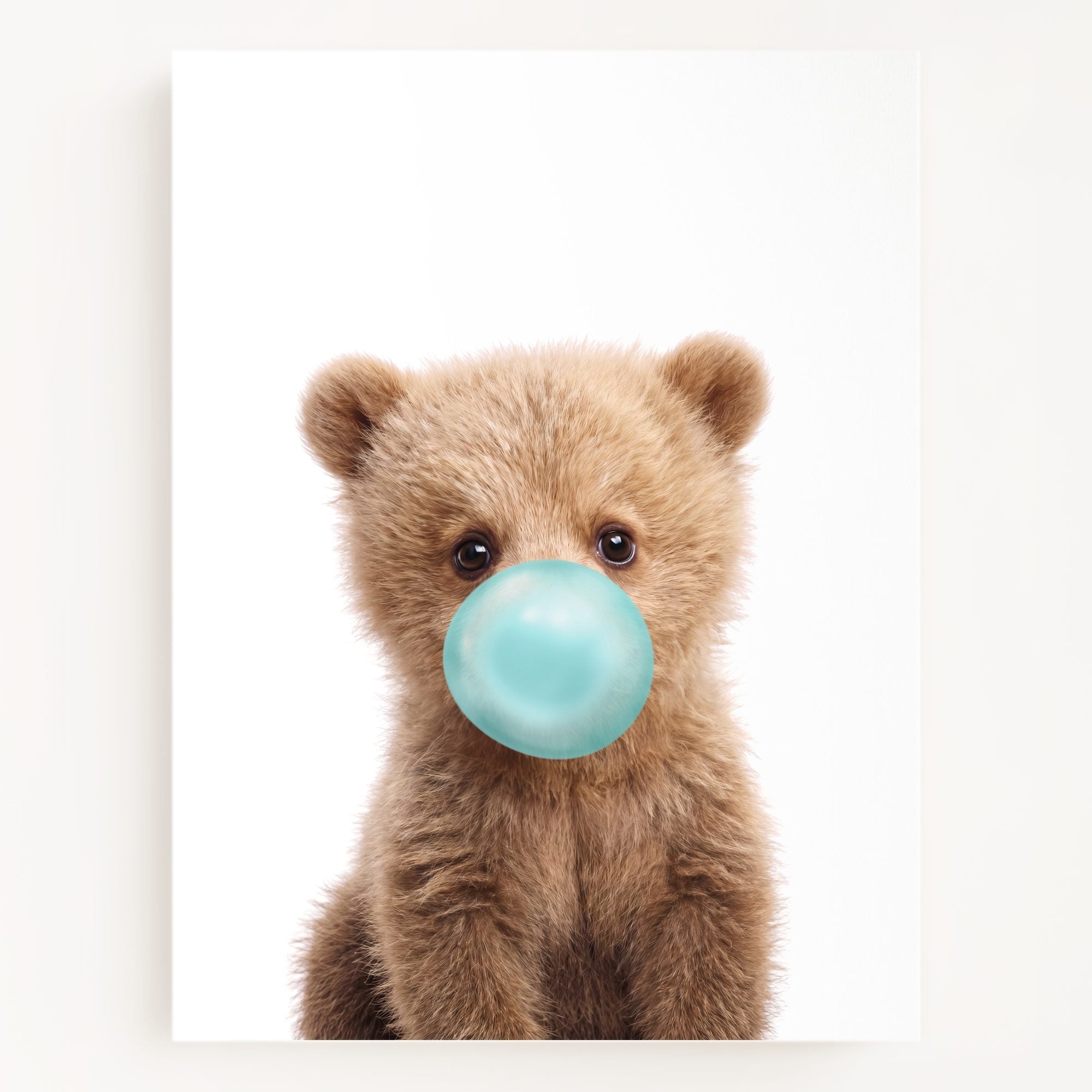 Baby Grizzly Bear