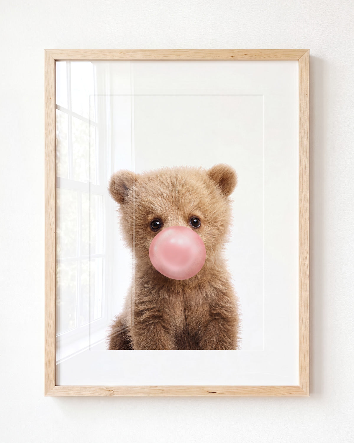 Baby Grizzly Bear