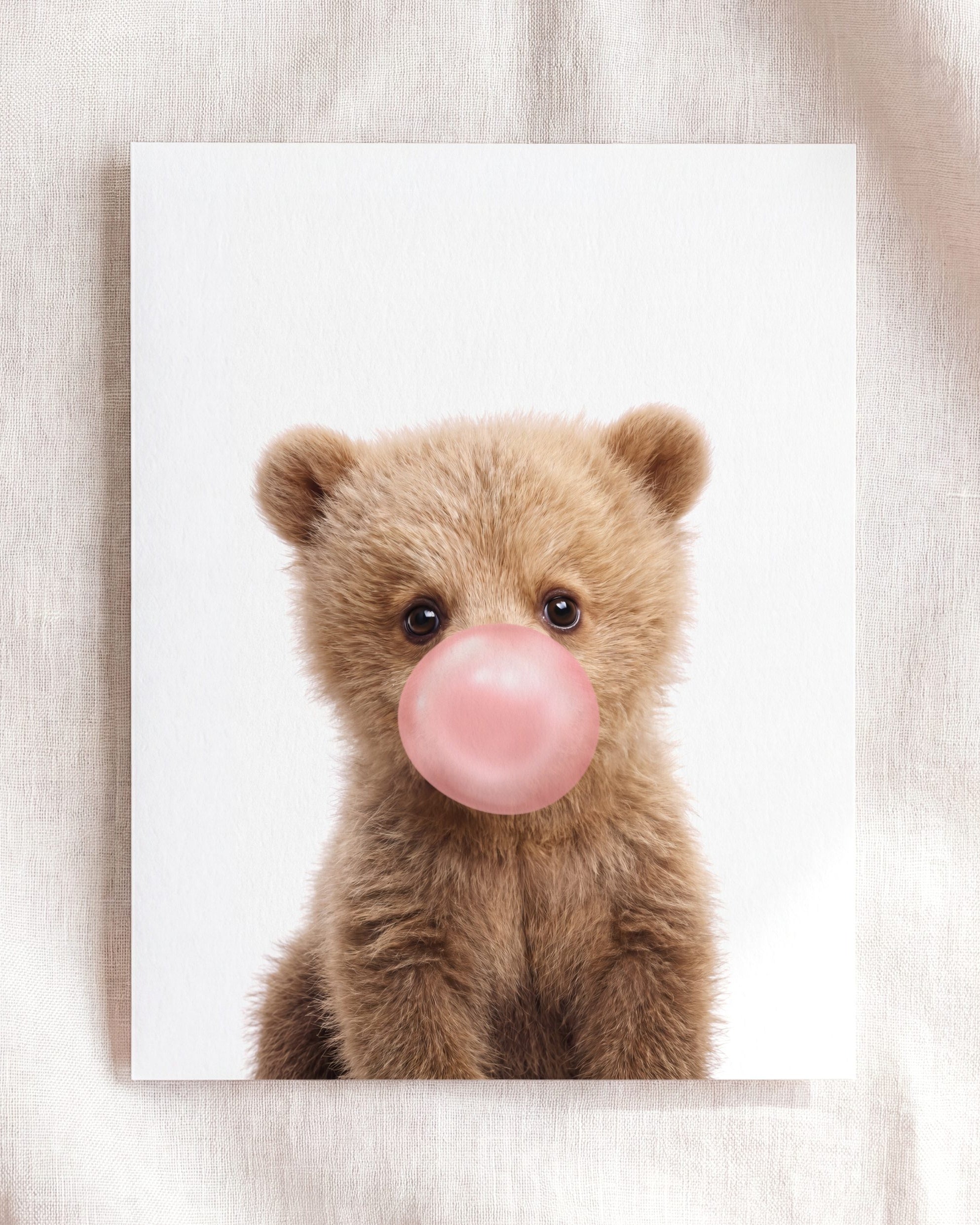 Baby Grizzly Bear