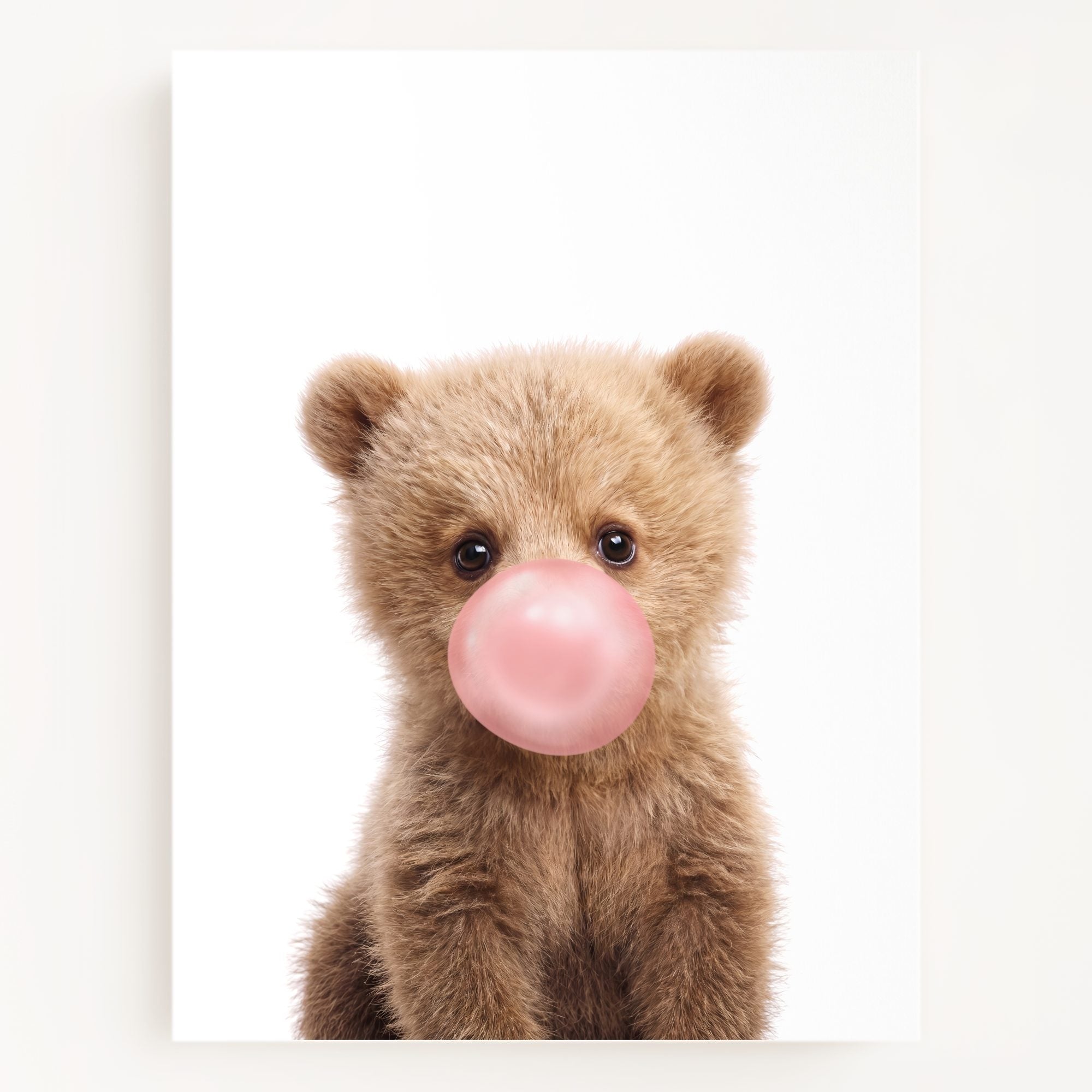 Baby Grizzly Bear