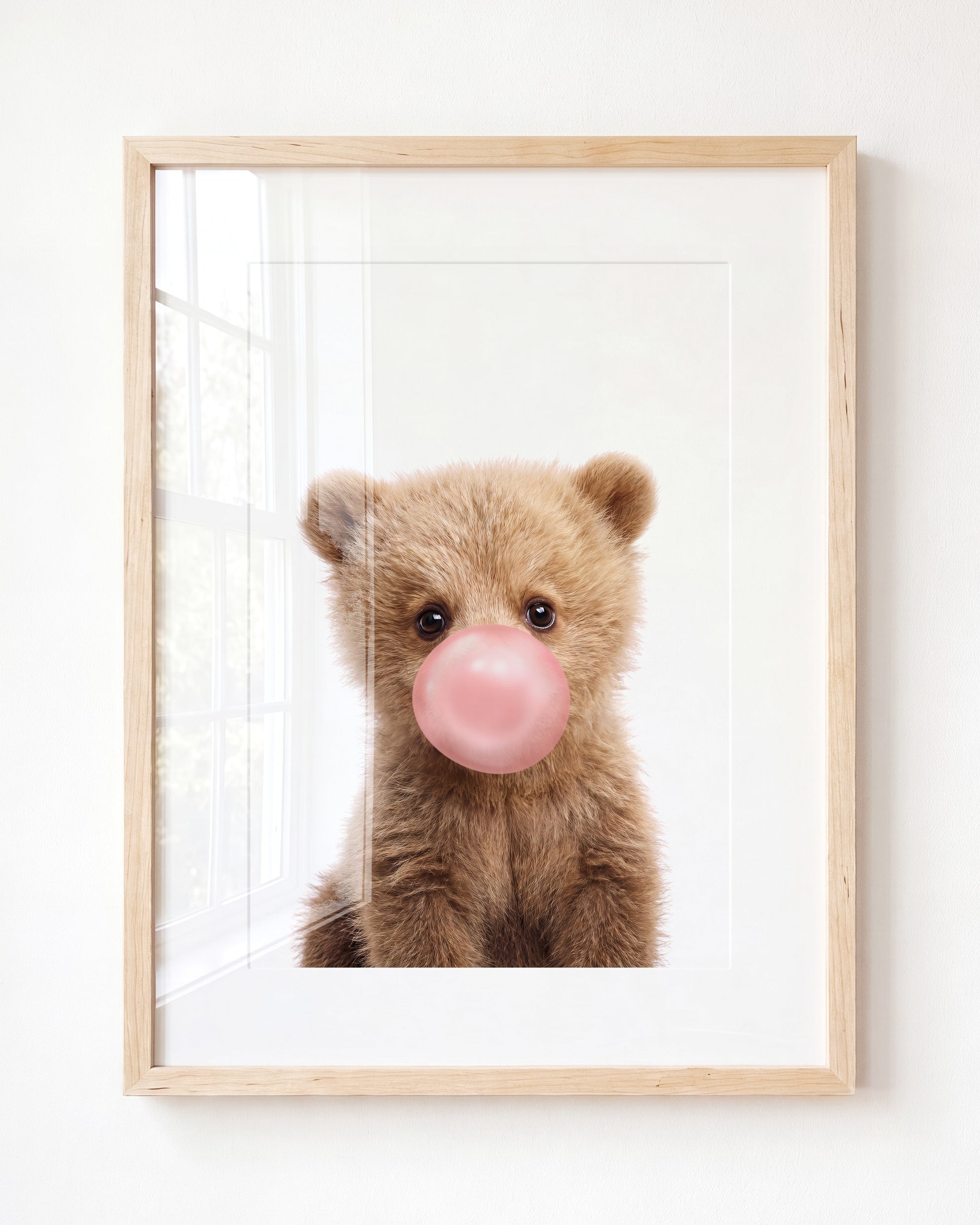 Baby Grizzly Bear