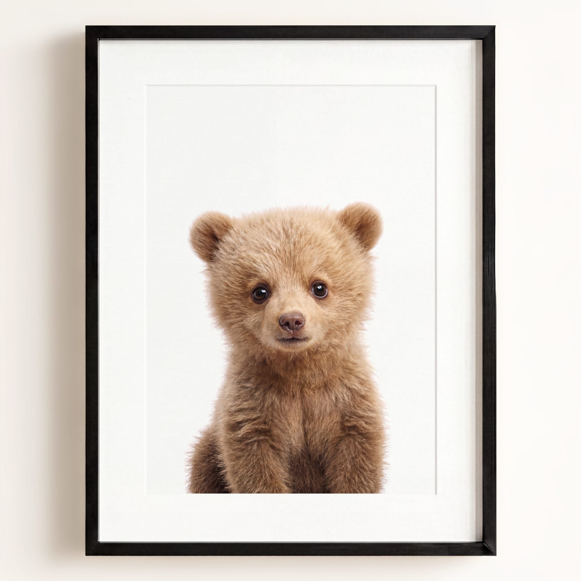 Baby Grizzly Bear