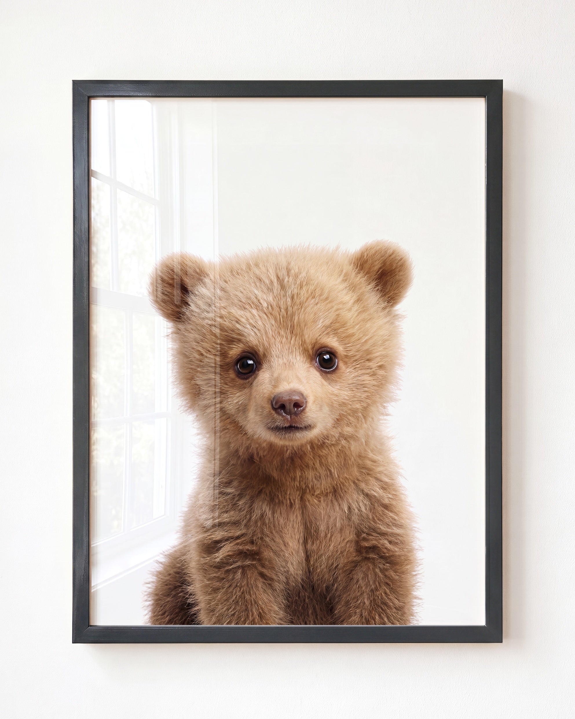 Baby Grizzly Bear