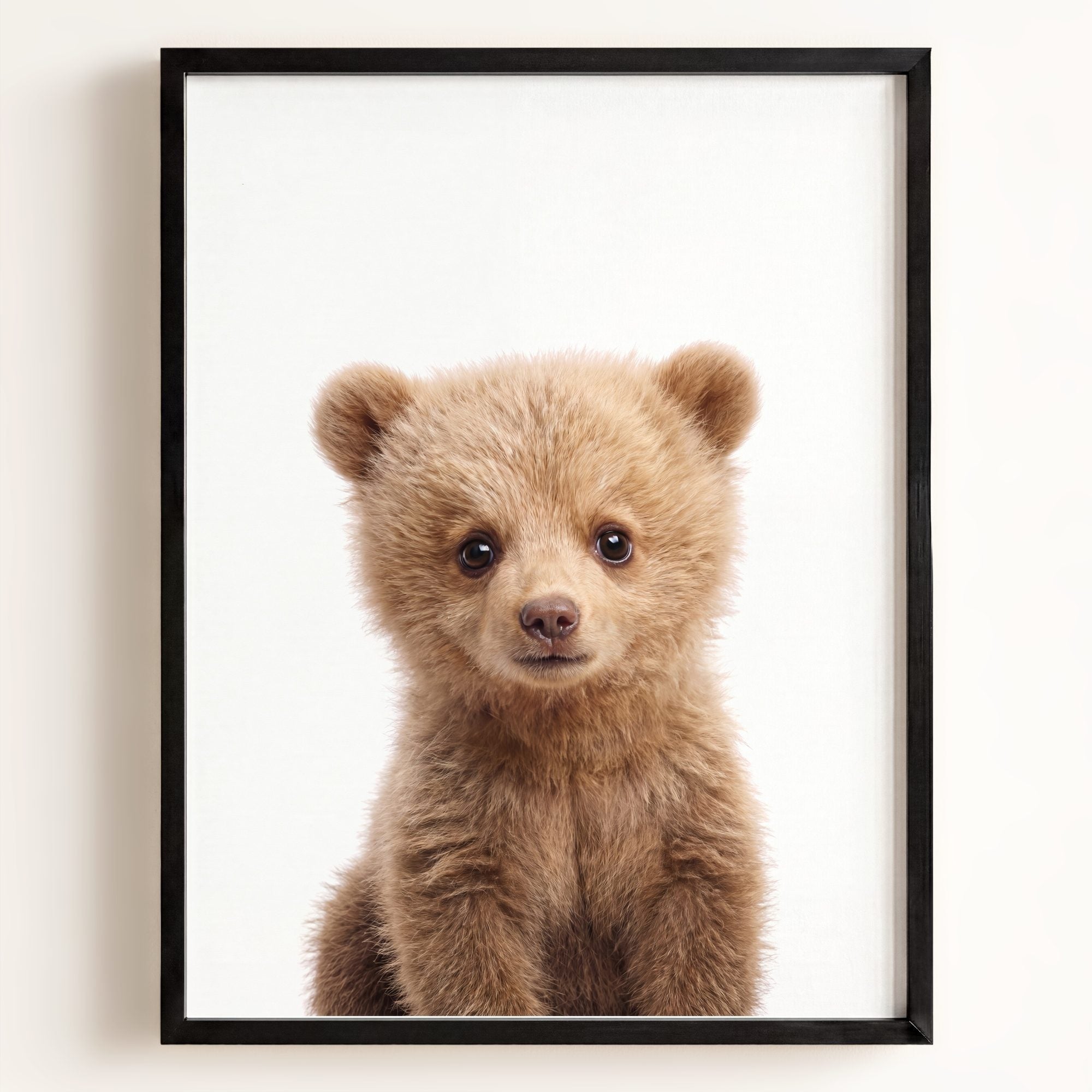Baby Grizzly Bear