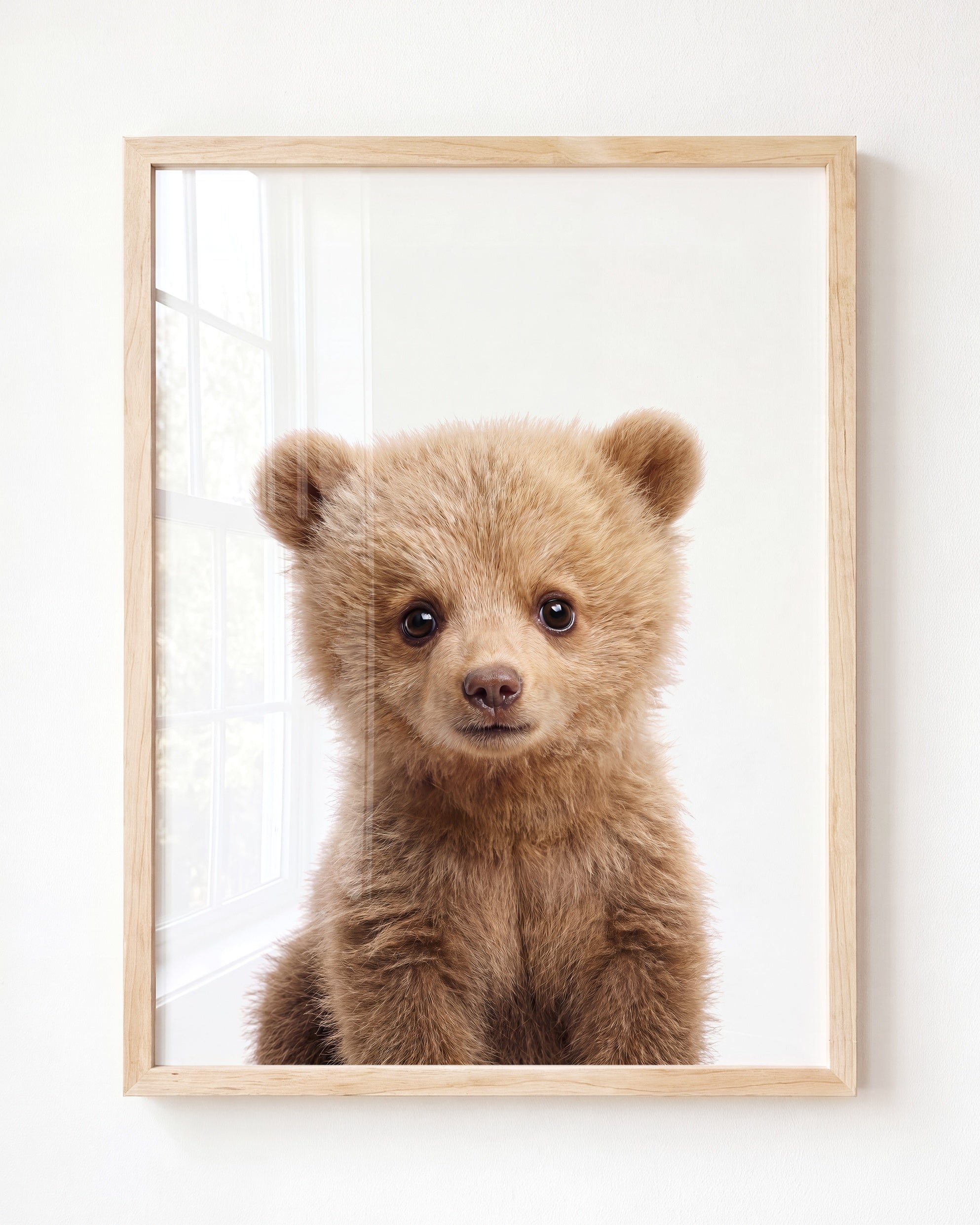 Baby Grizzly Bear
