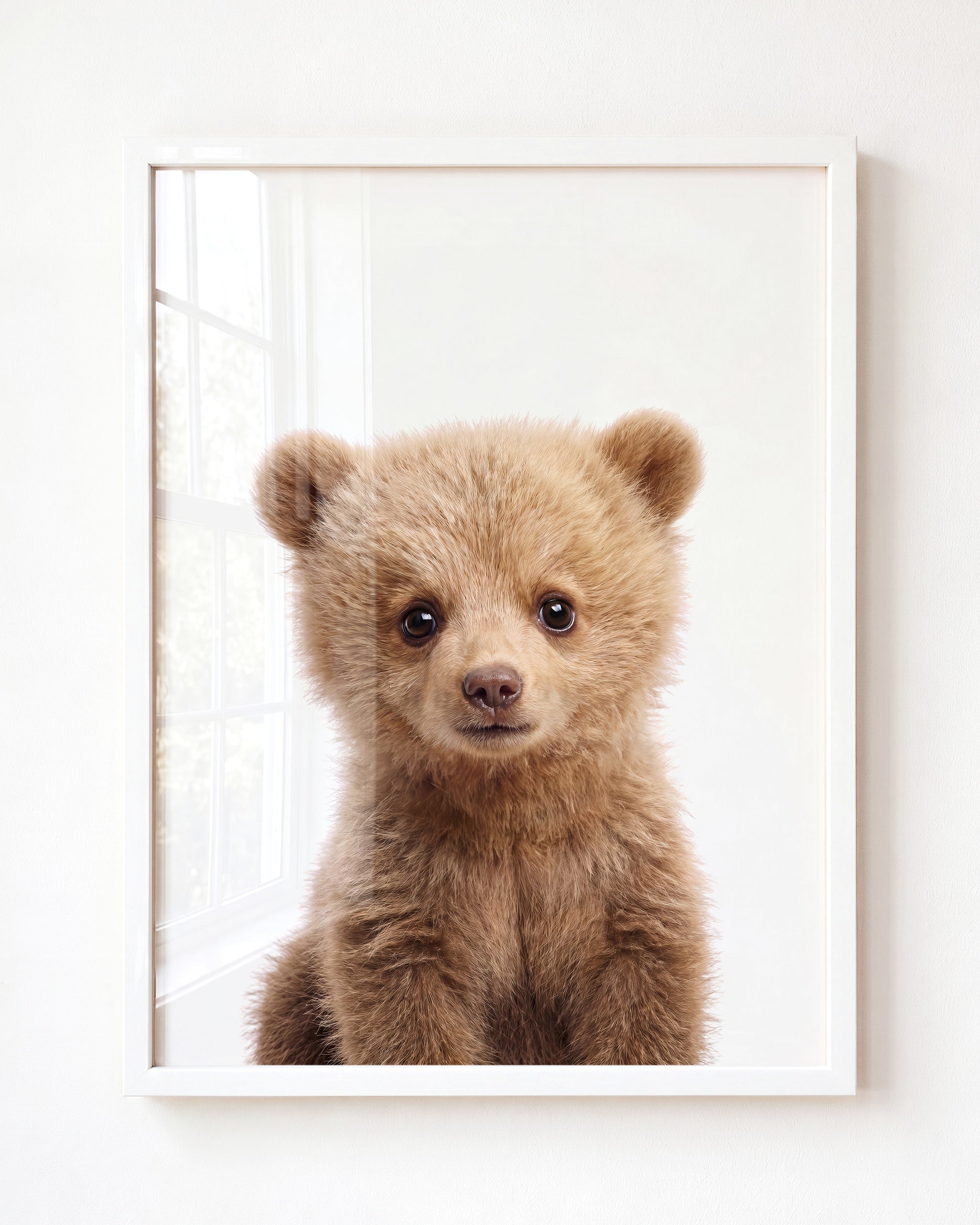 Baby Grizzly Bear
