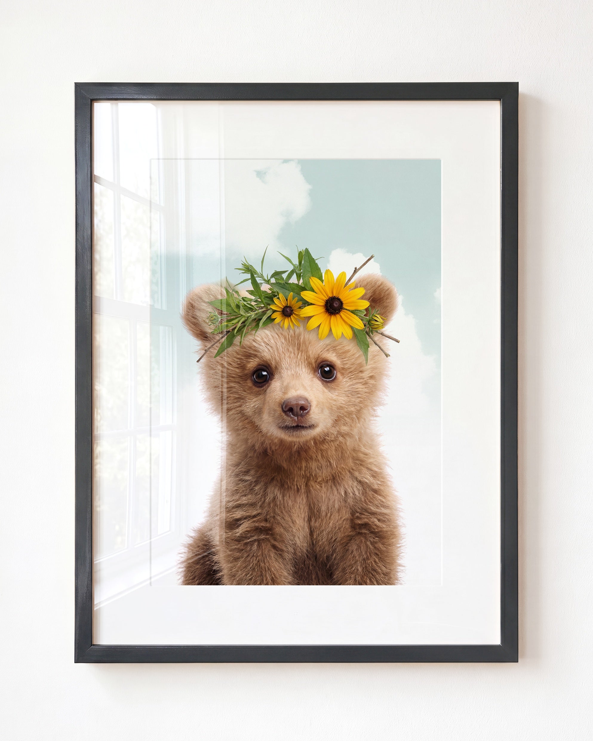Baby Grizzly Bear