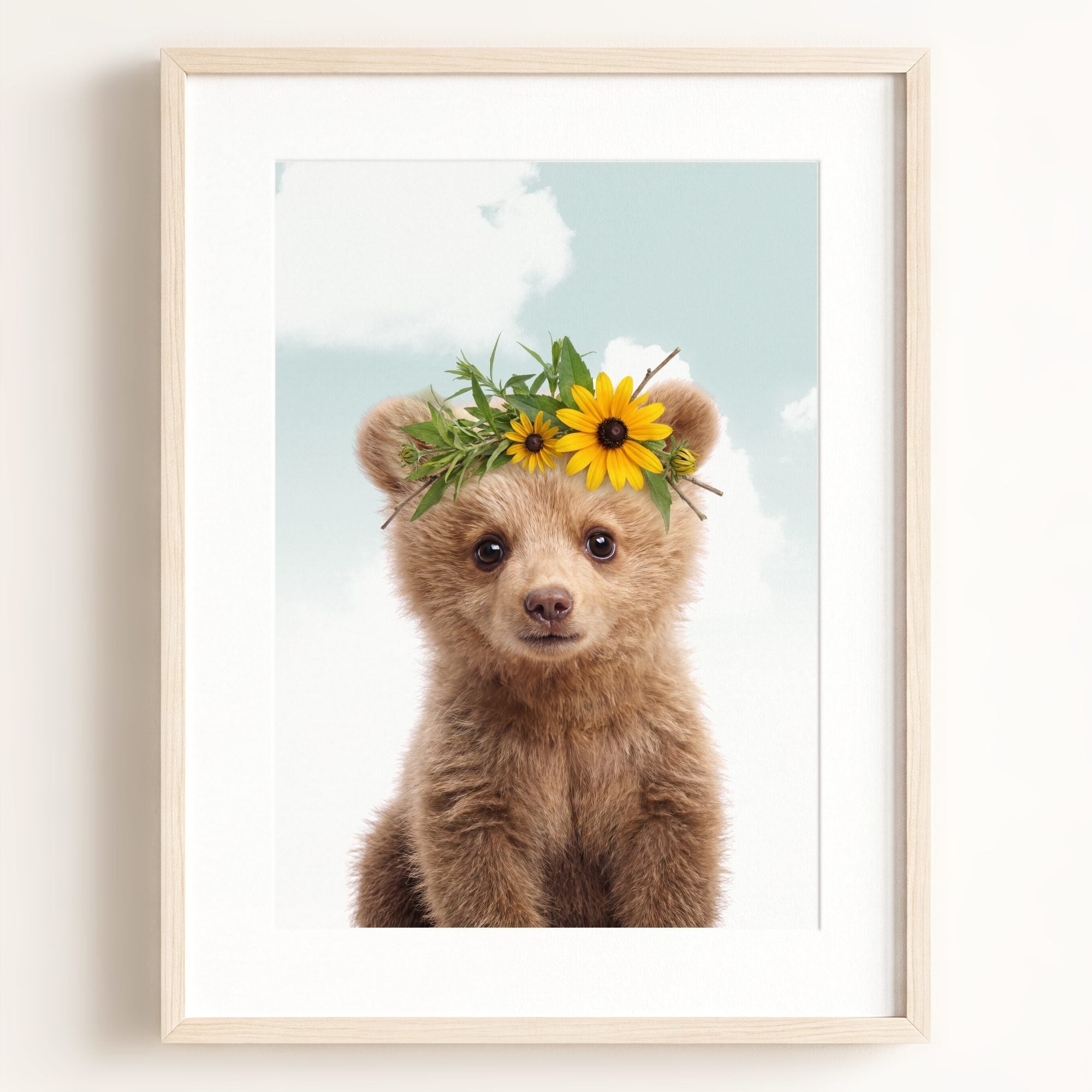 Baby Grizzly Bear