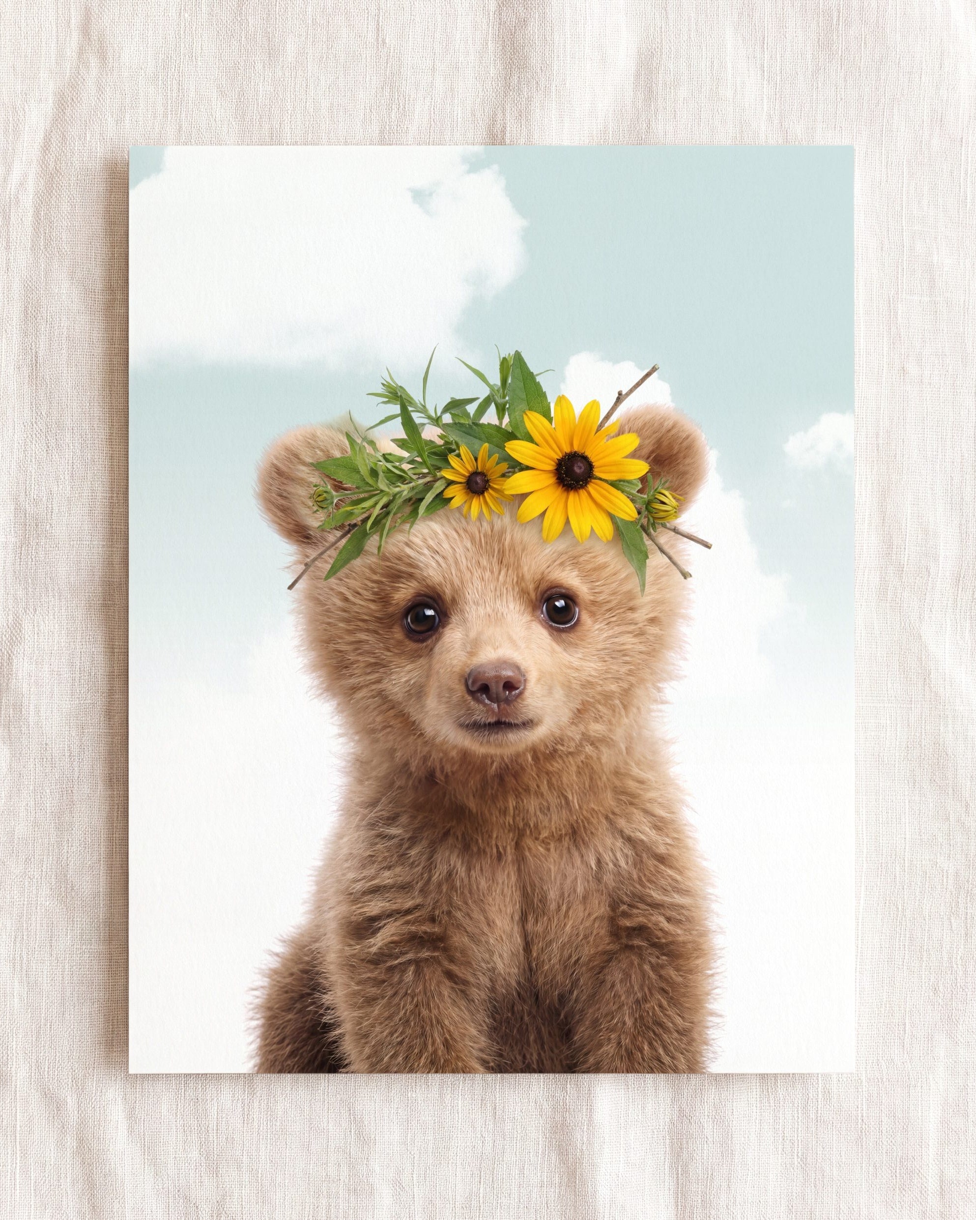 Baby Grizzly Bear
