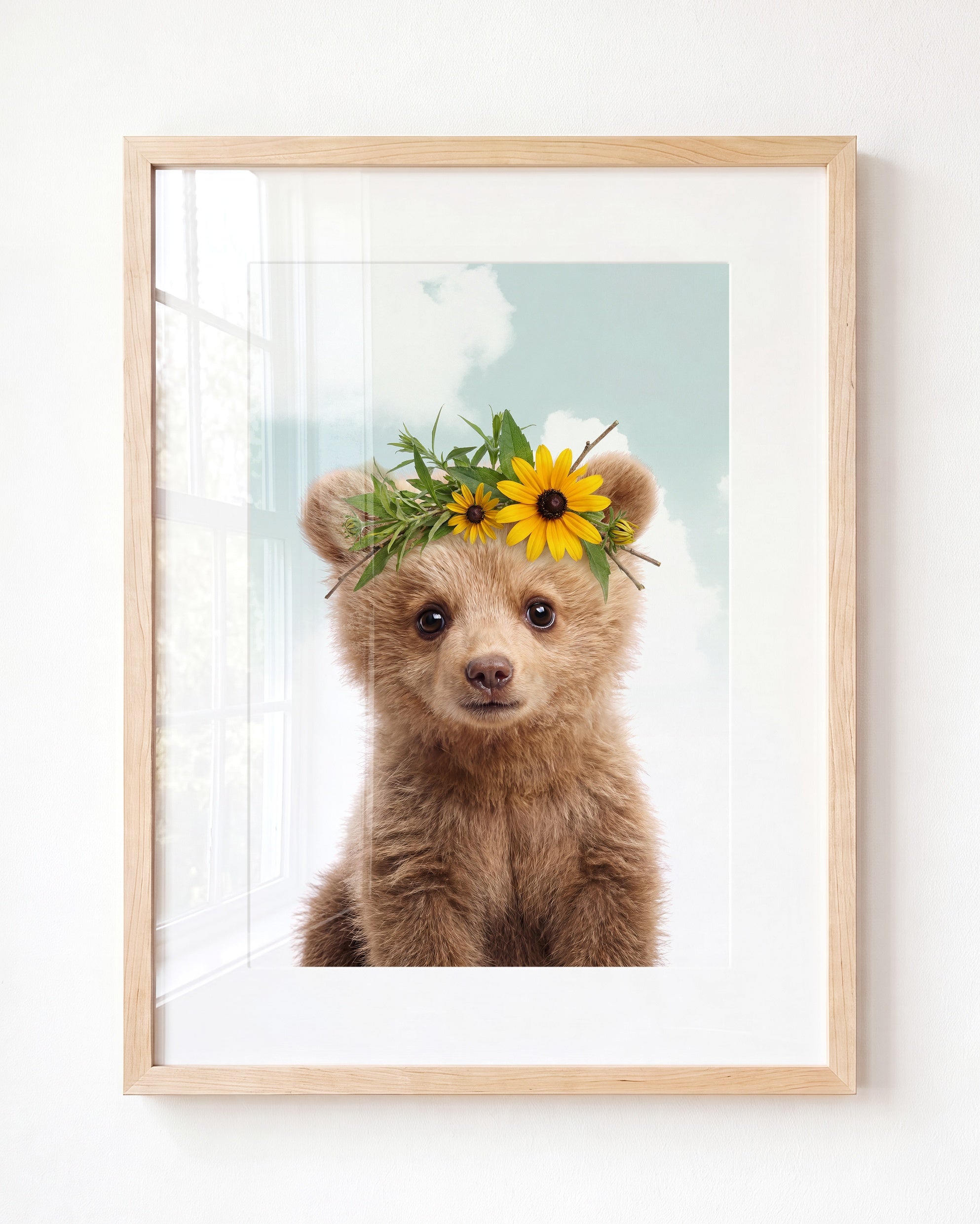 Baby Grizzly Bear