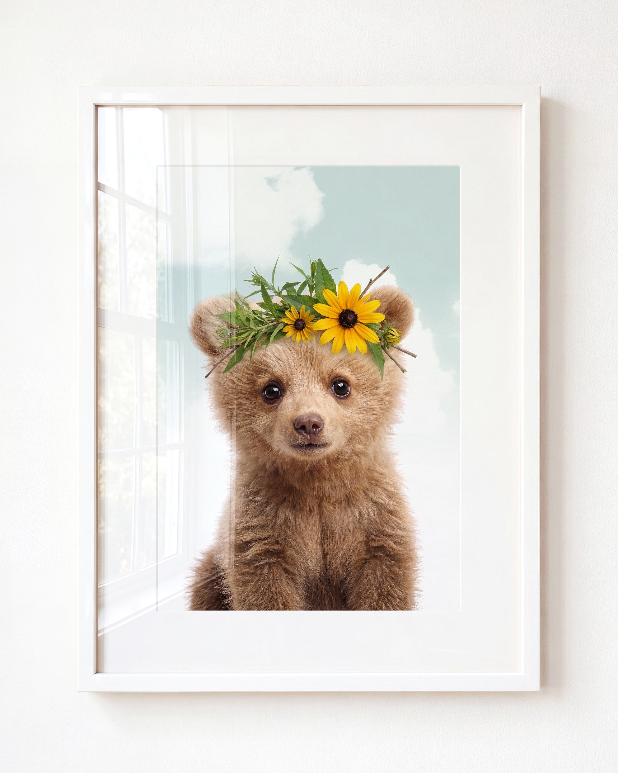 Baby Grizzly Bear
