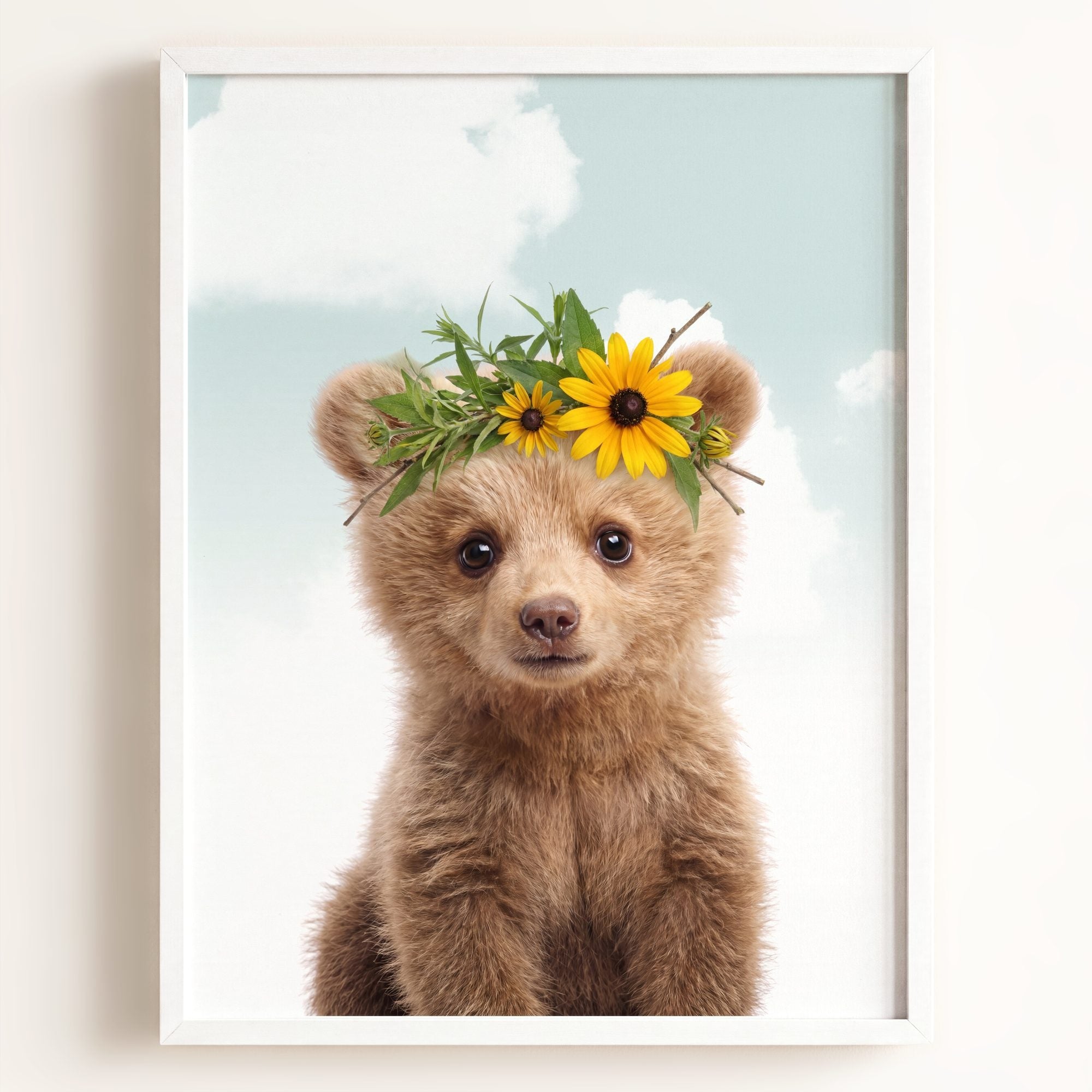 Baby Grizzly Bear