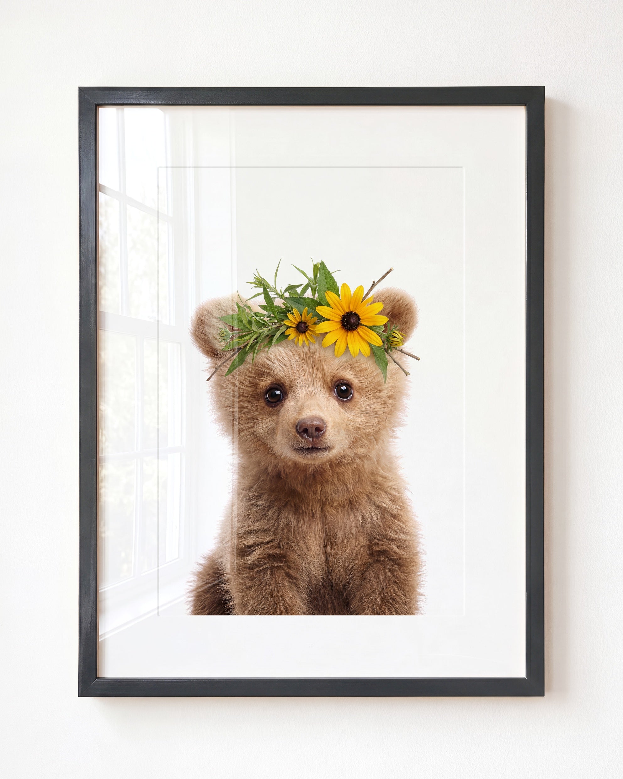 Baby Grizzly Bear
