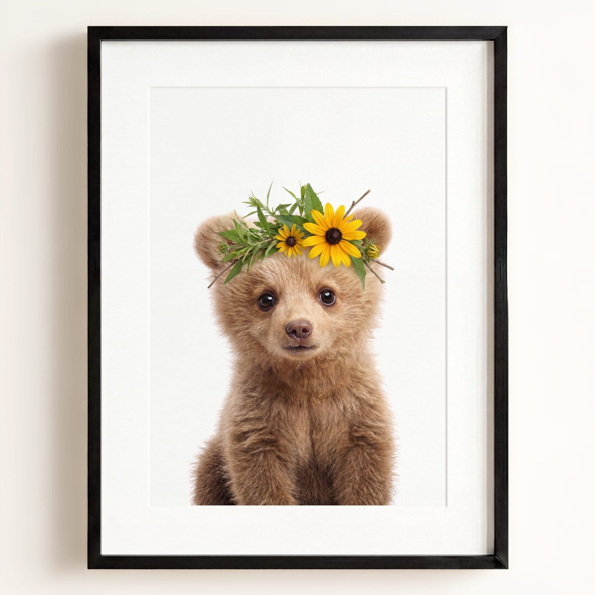 Baby Grizzly Bear