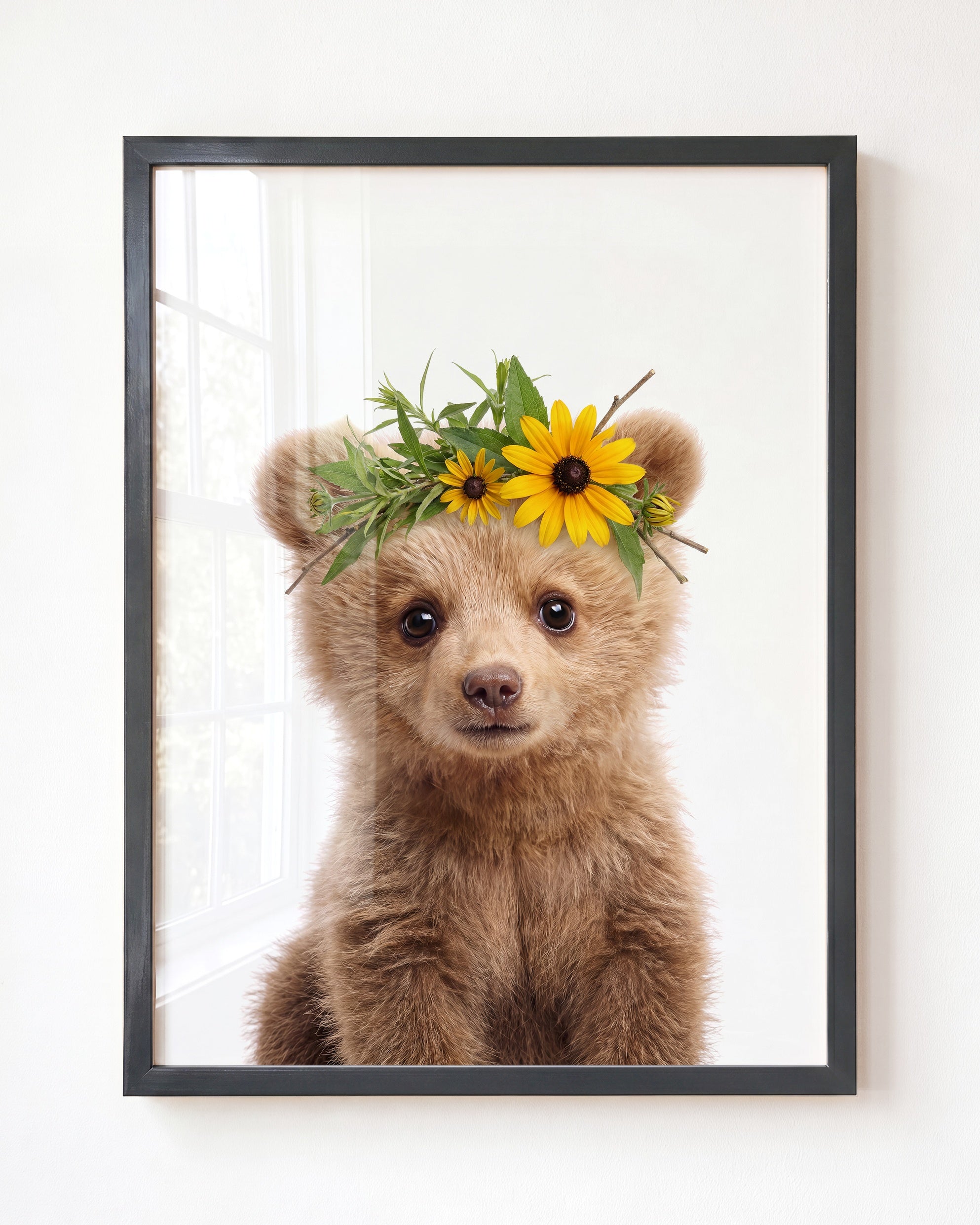 Baby Grizzly Bear