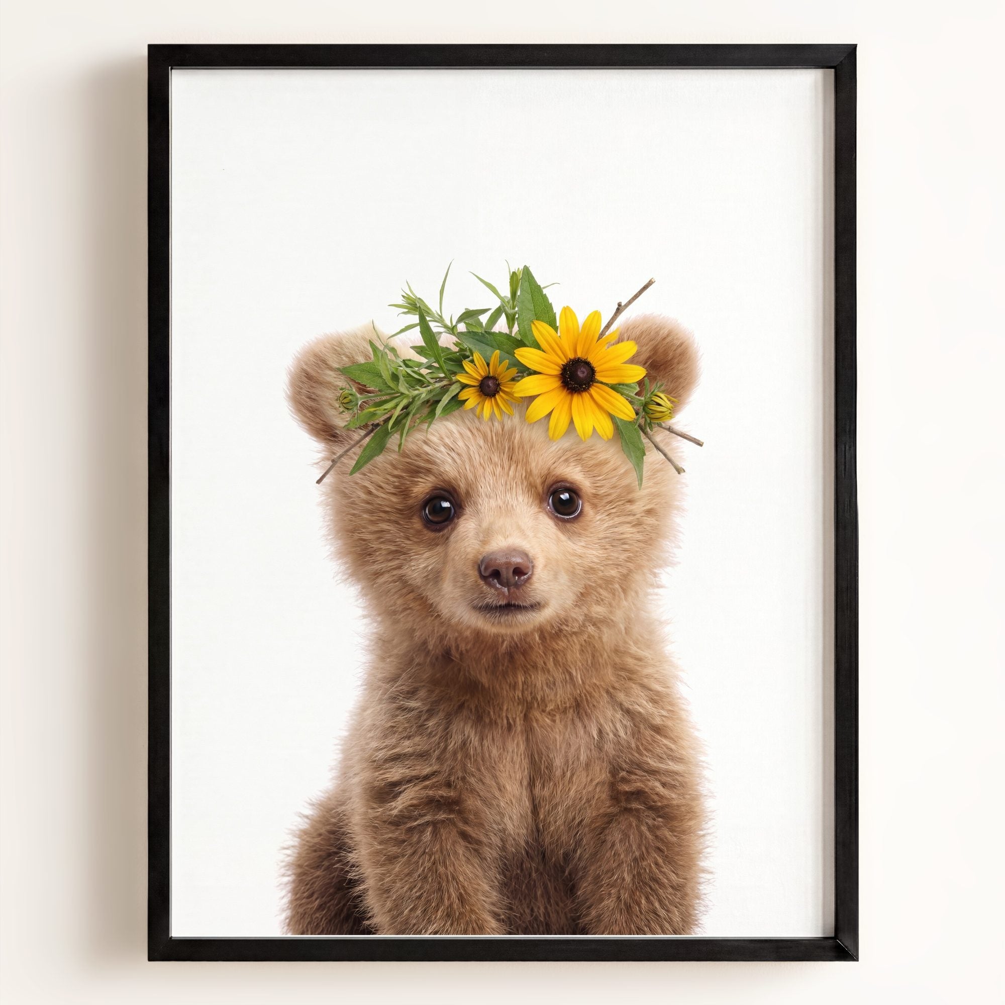 Baby Grizzly Bear