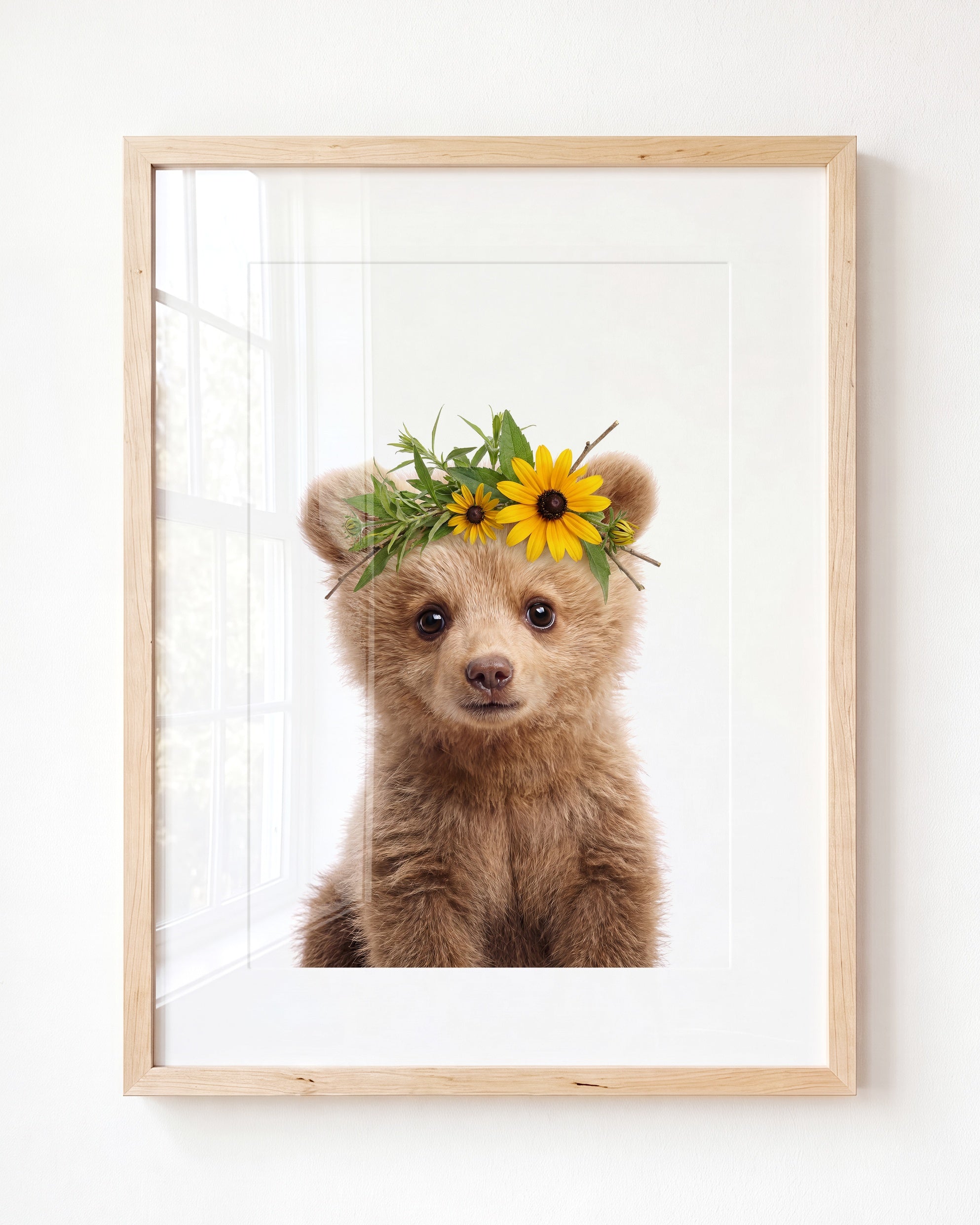 Baby Grizzly Bear
