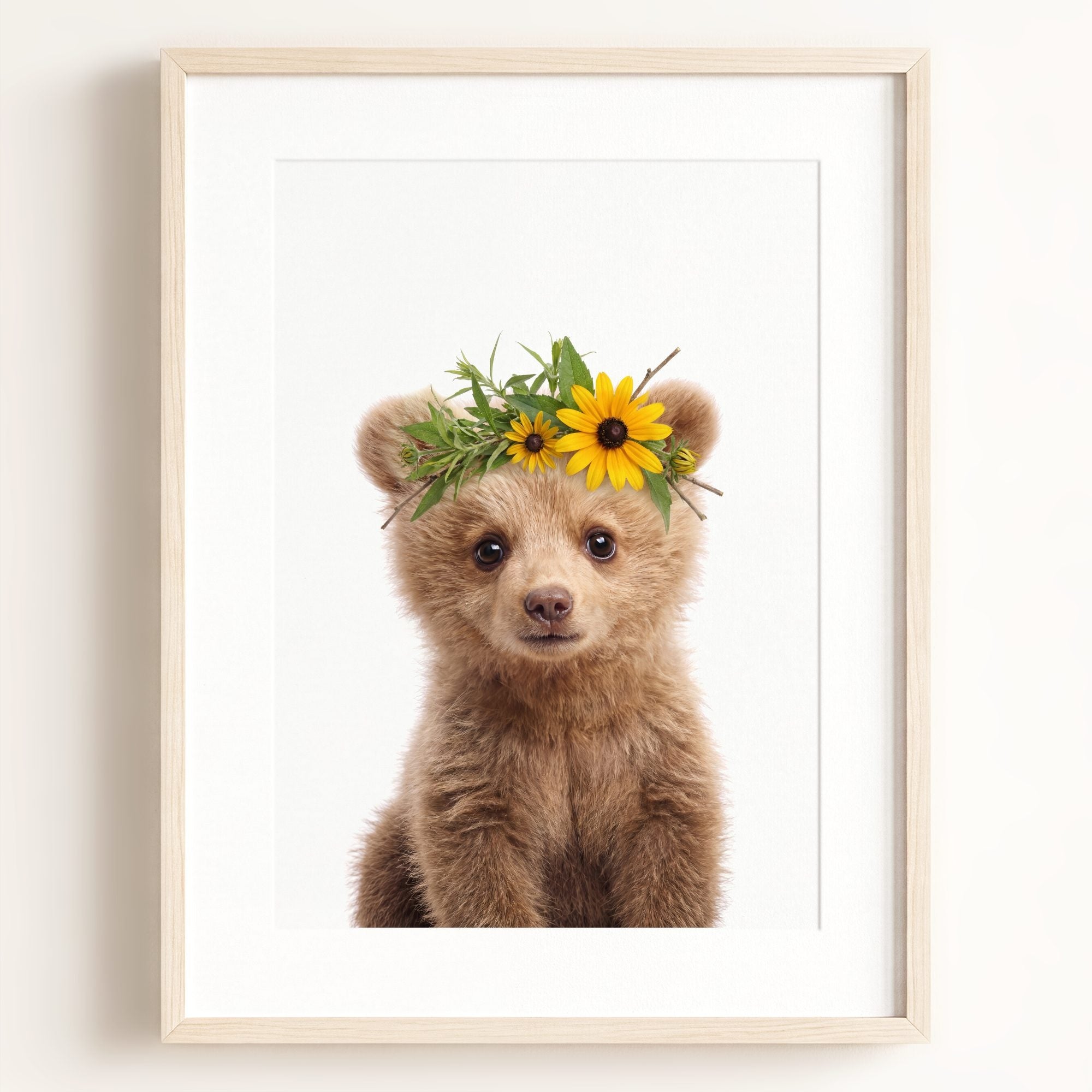 Baby Grizzly Bear