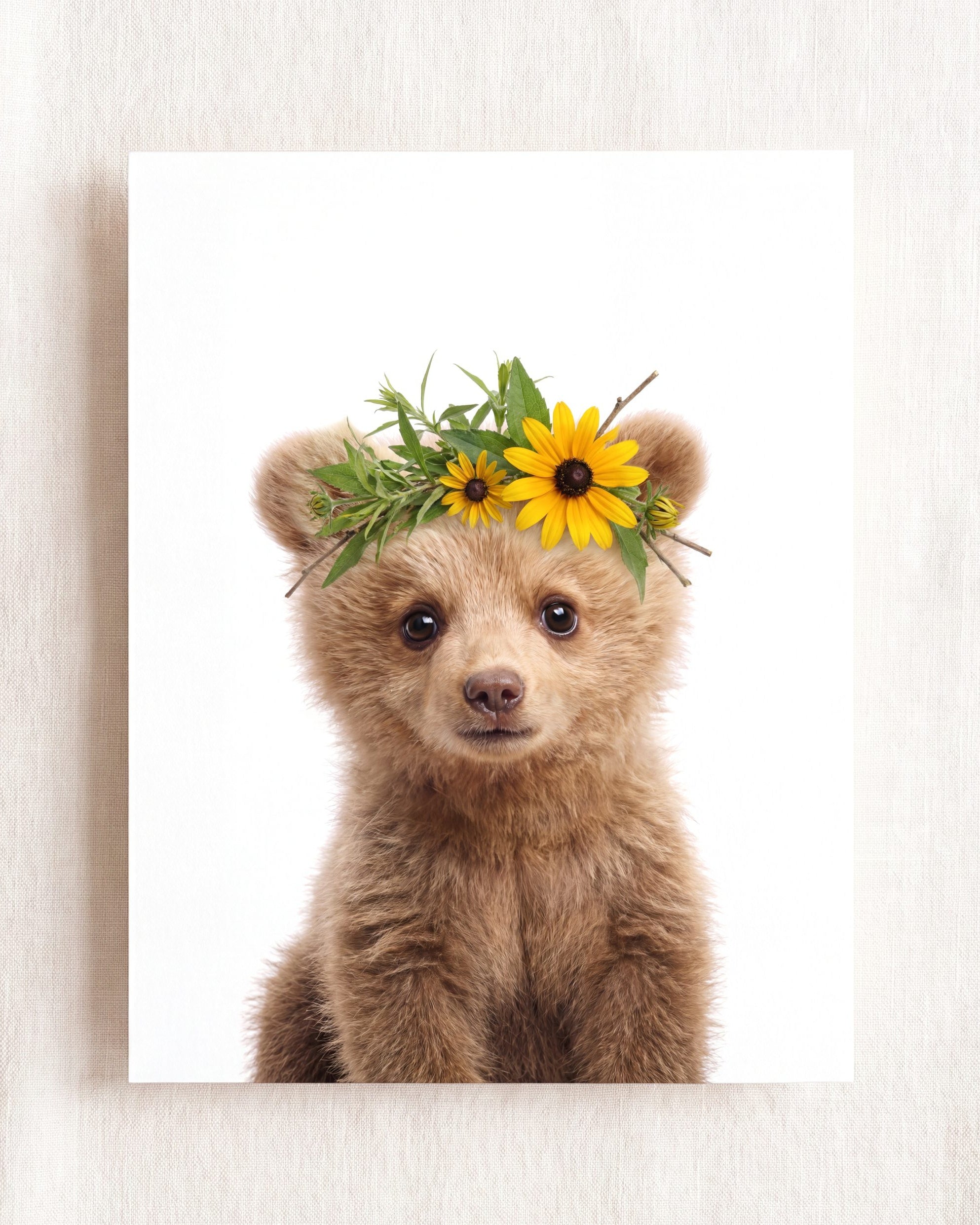 Baby Grizzly Bear