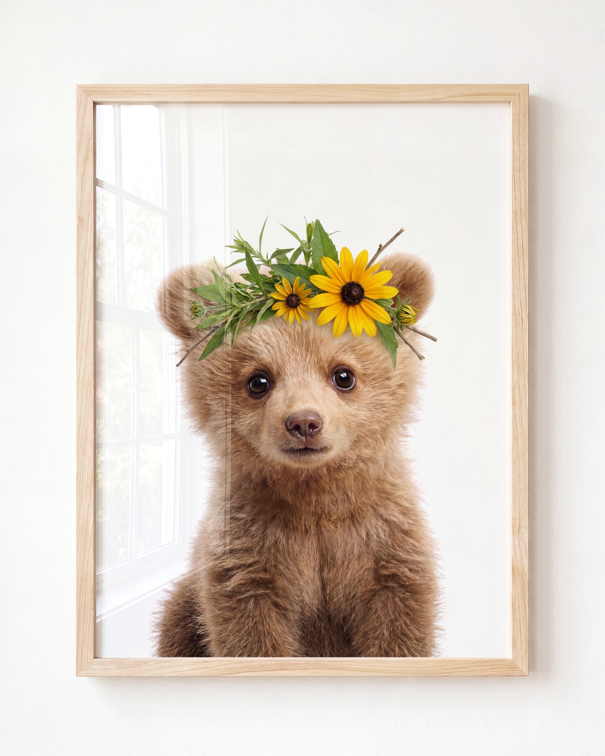 Baby Grizzly Bear
