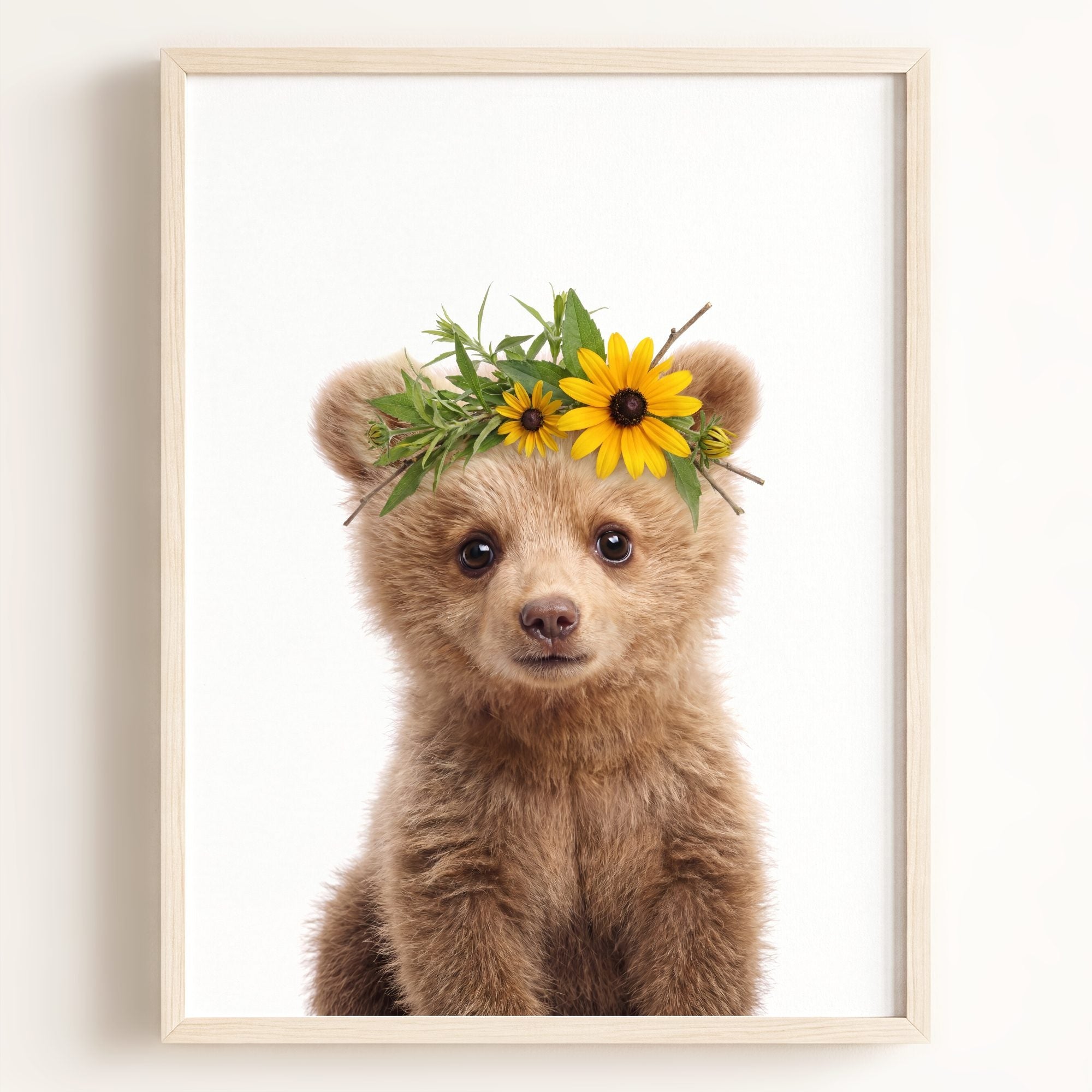Baby Grizzly Bear