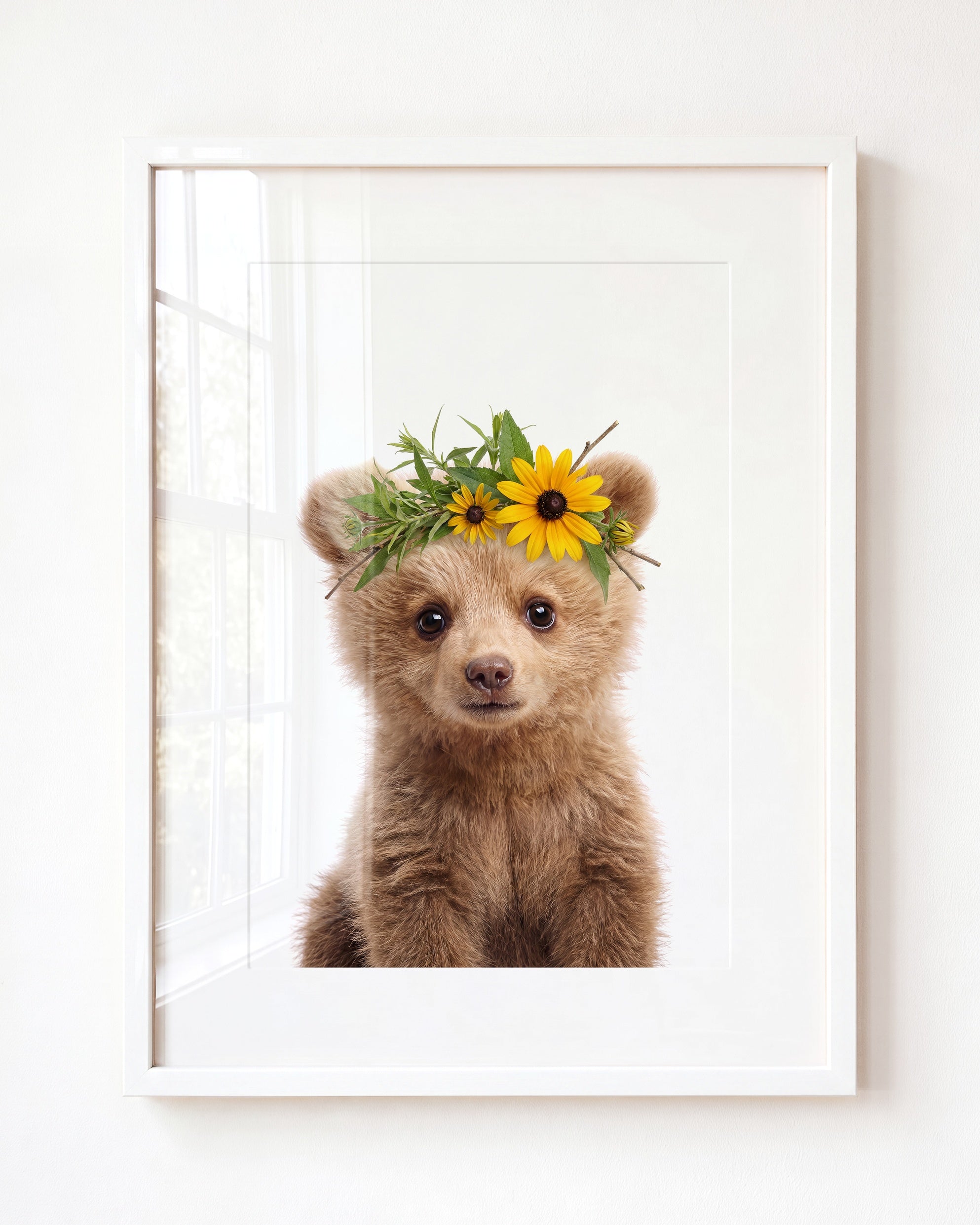 Baby Grizzly Bear