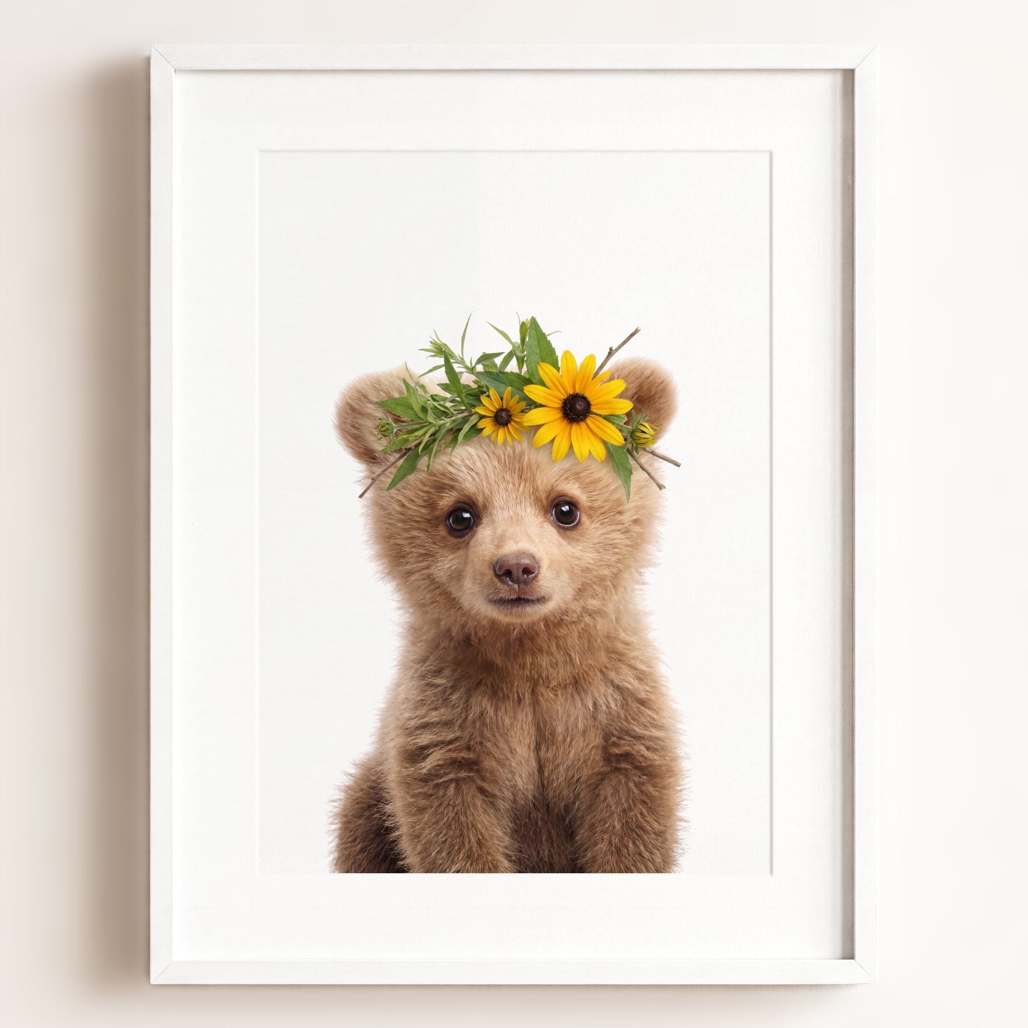 Baby Grizzly Bear