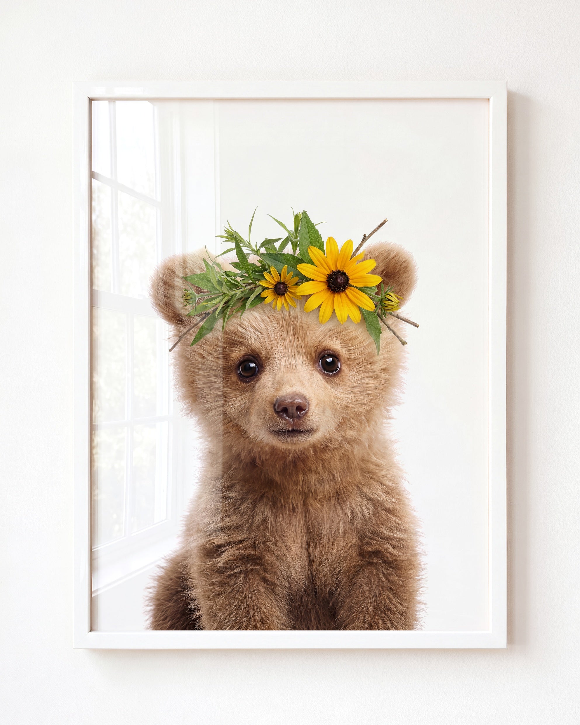 Baby Grizzly Bear