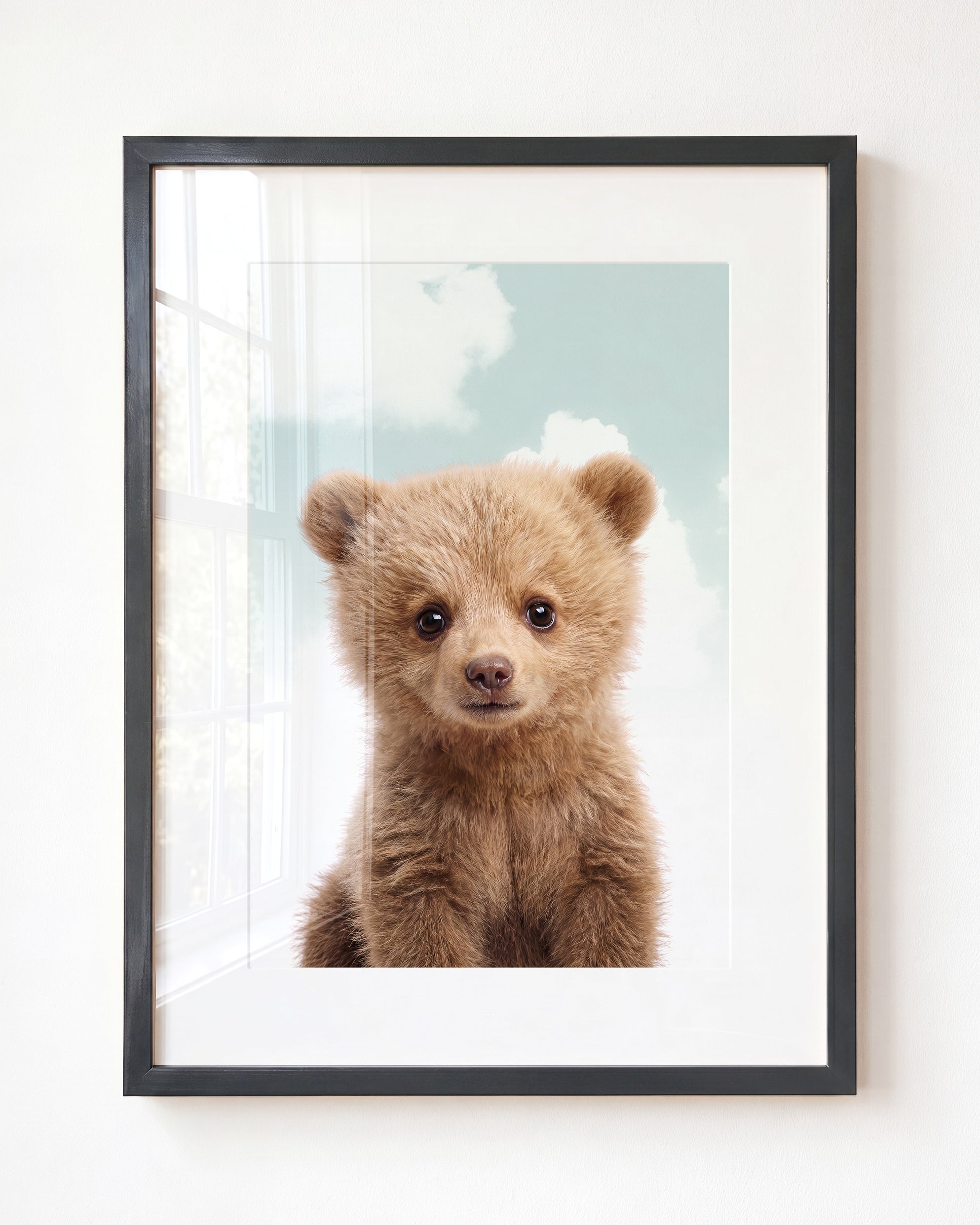 Baby Grizzly Bear
