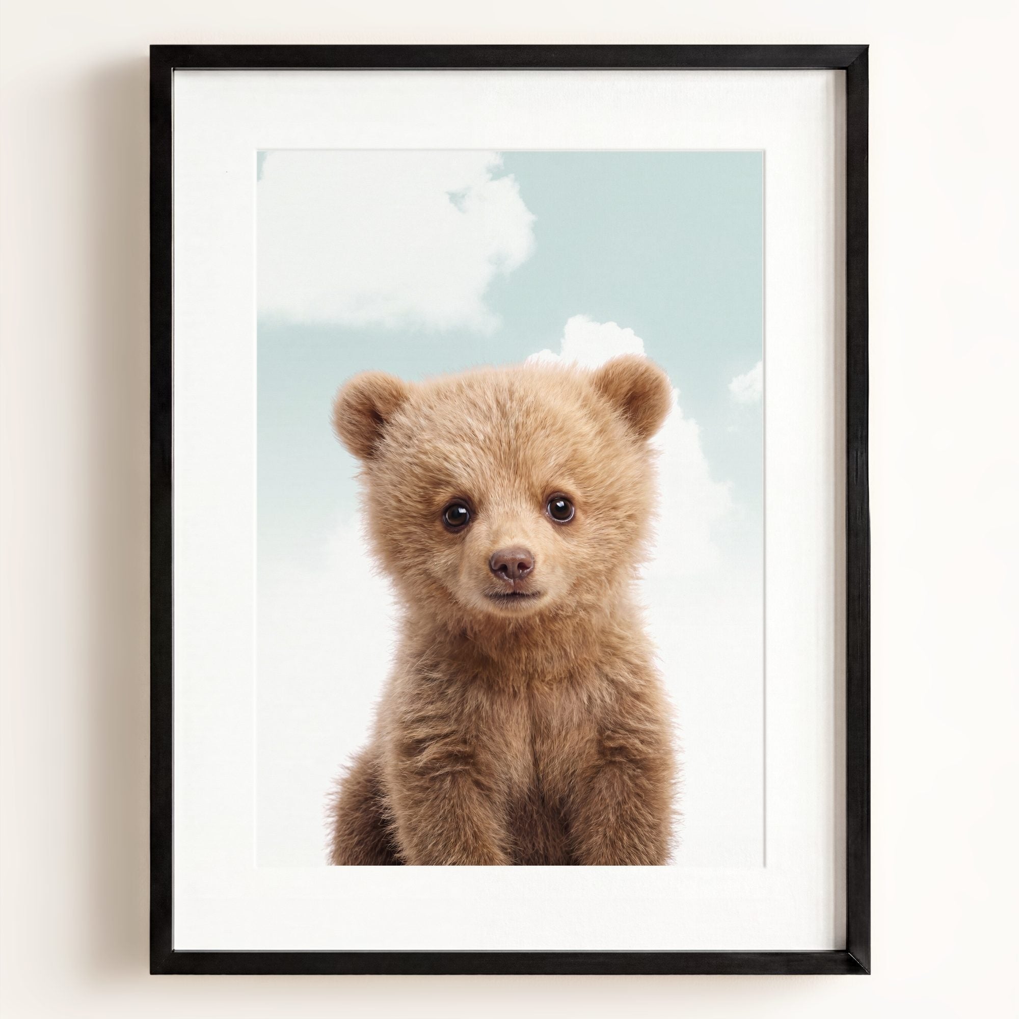 Baby Grizzly Bear