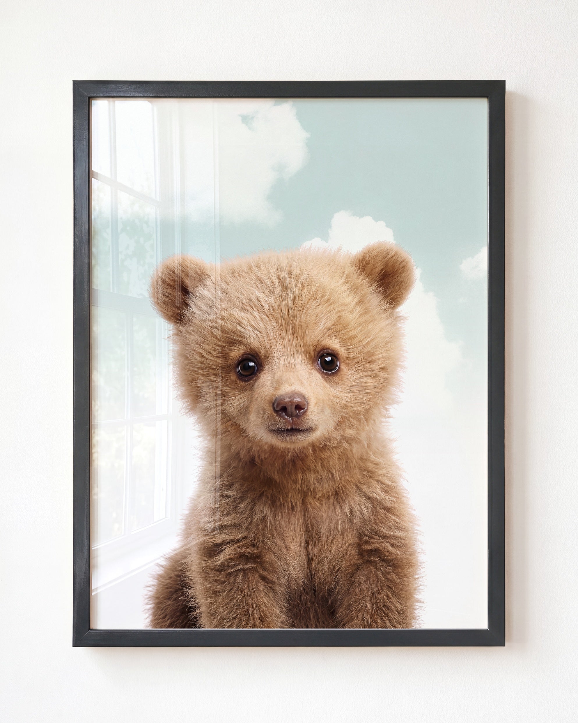Baby Grizzly Bear